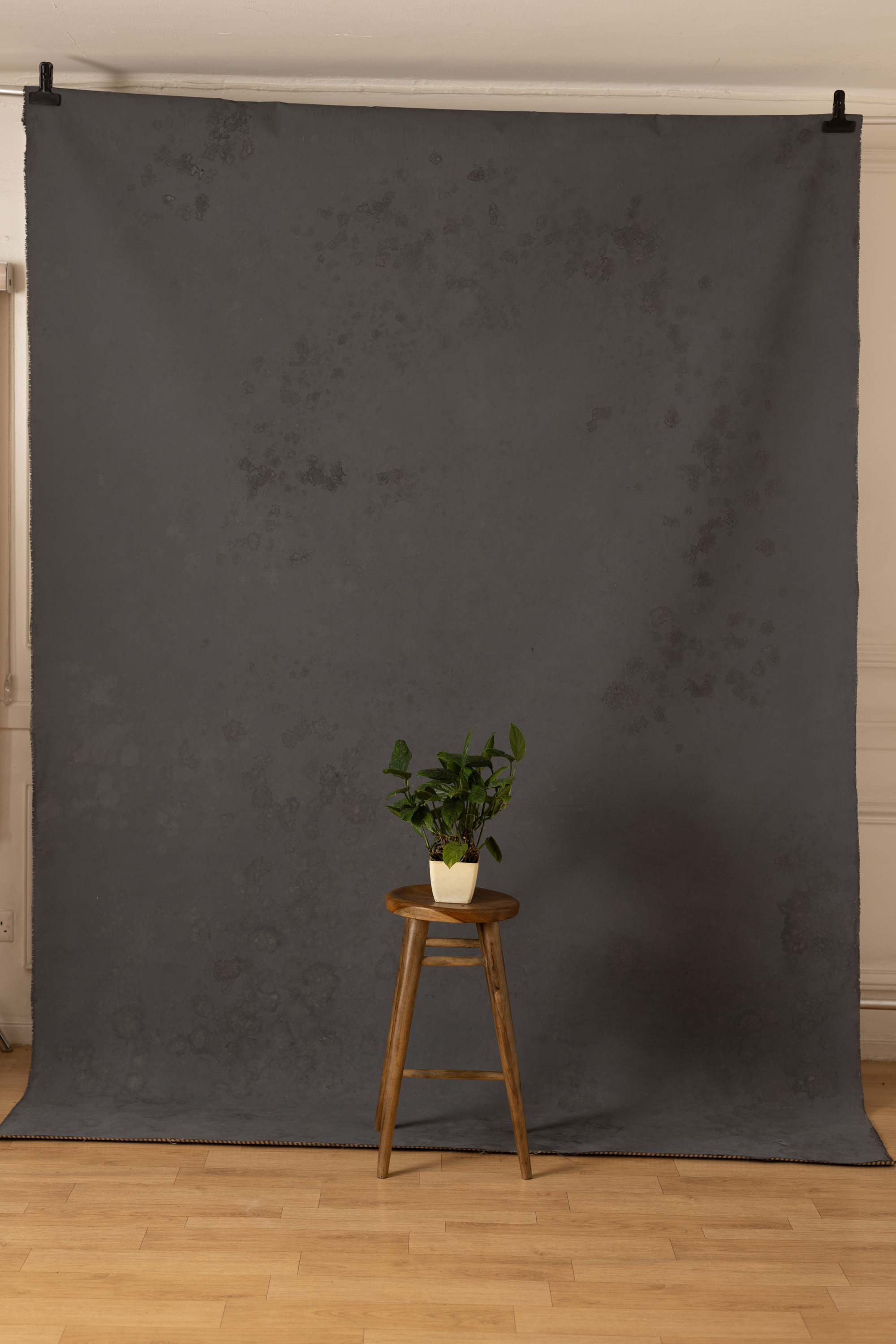 Parched Seal Painted Canvas Backdrop (RN#143) view 3