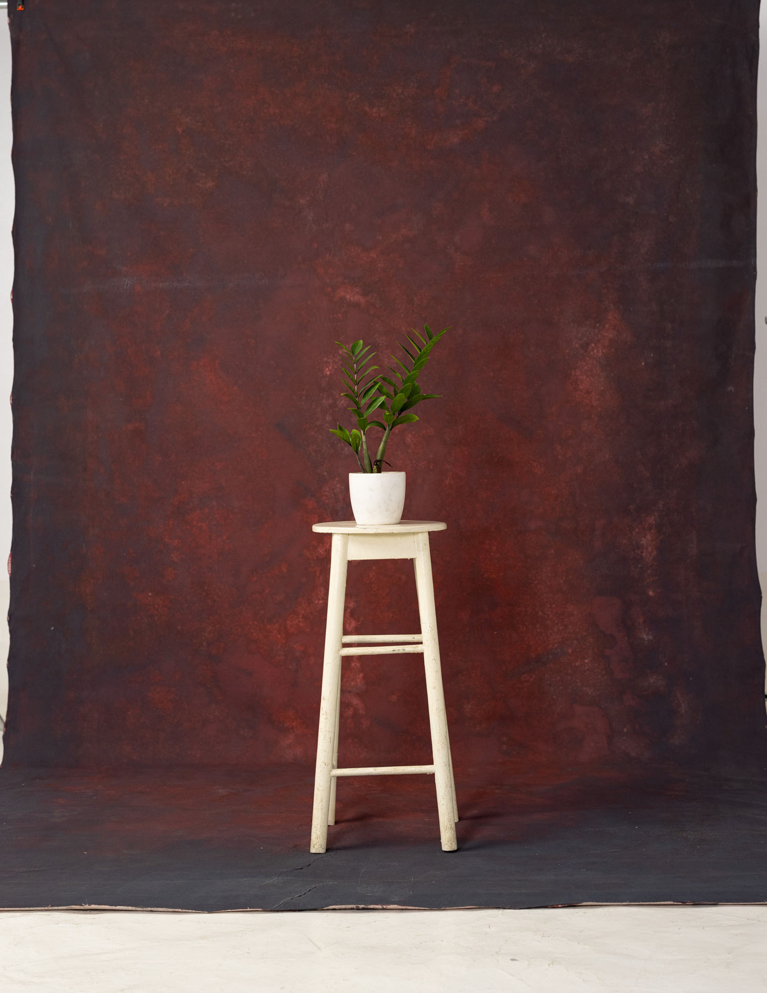 Espresso Painted Canvas Backdrop (RN#151) view 3