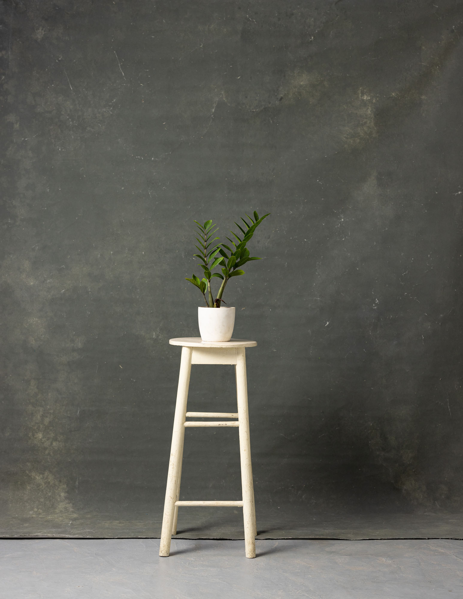 Wenge Painted Canvas Backdrop (RN#136) view 3
