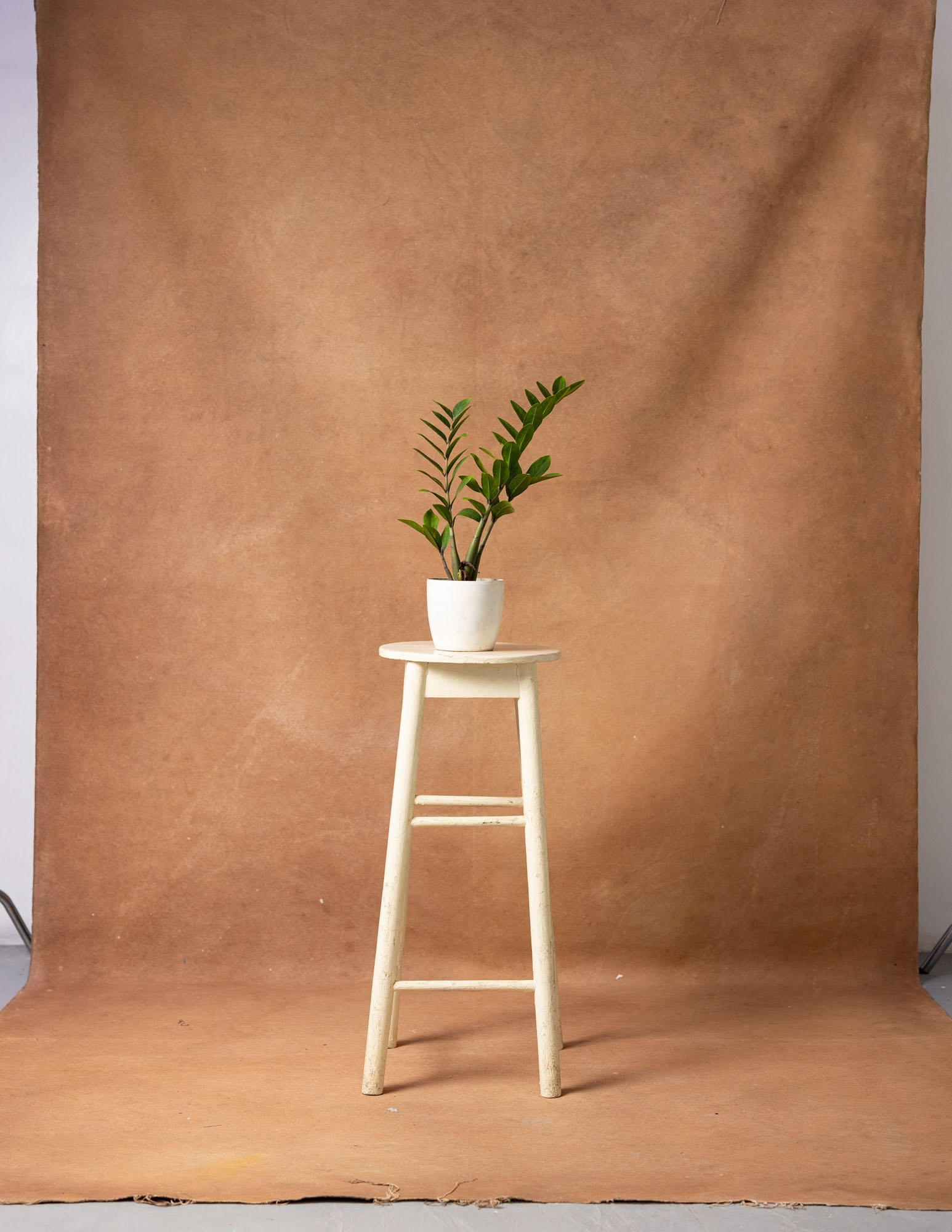 Potters Clay Painted Canvas Backdrop (RN#13) view 3