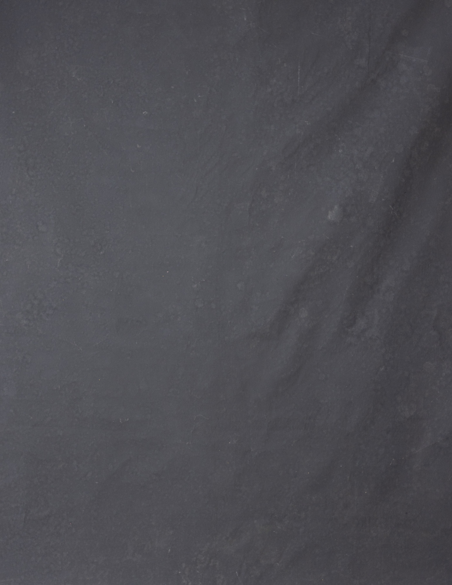 Pale Brown Painted Canvas Backdrop (RN#146)