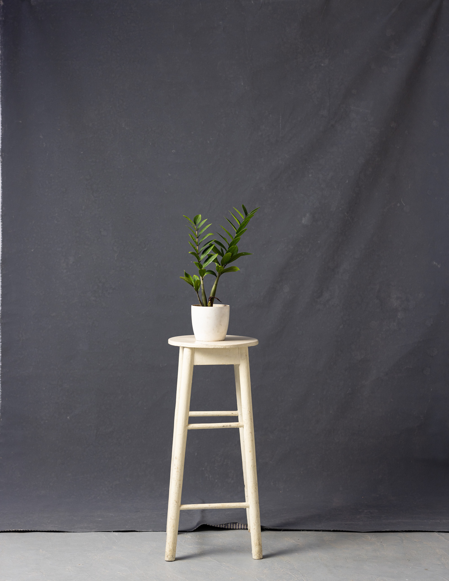 Pale Brown Painted Canvas Backdrop (RN#146) view 3