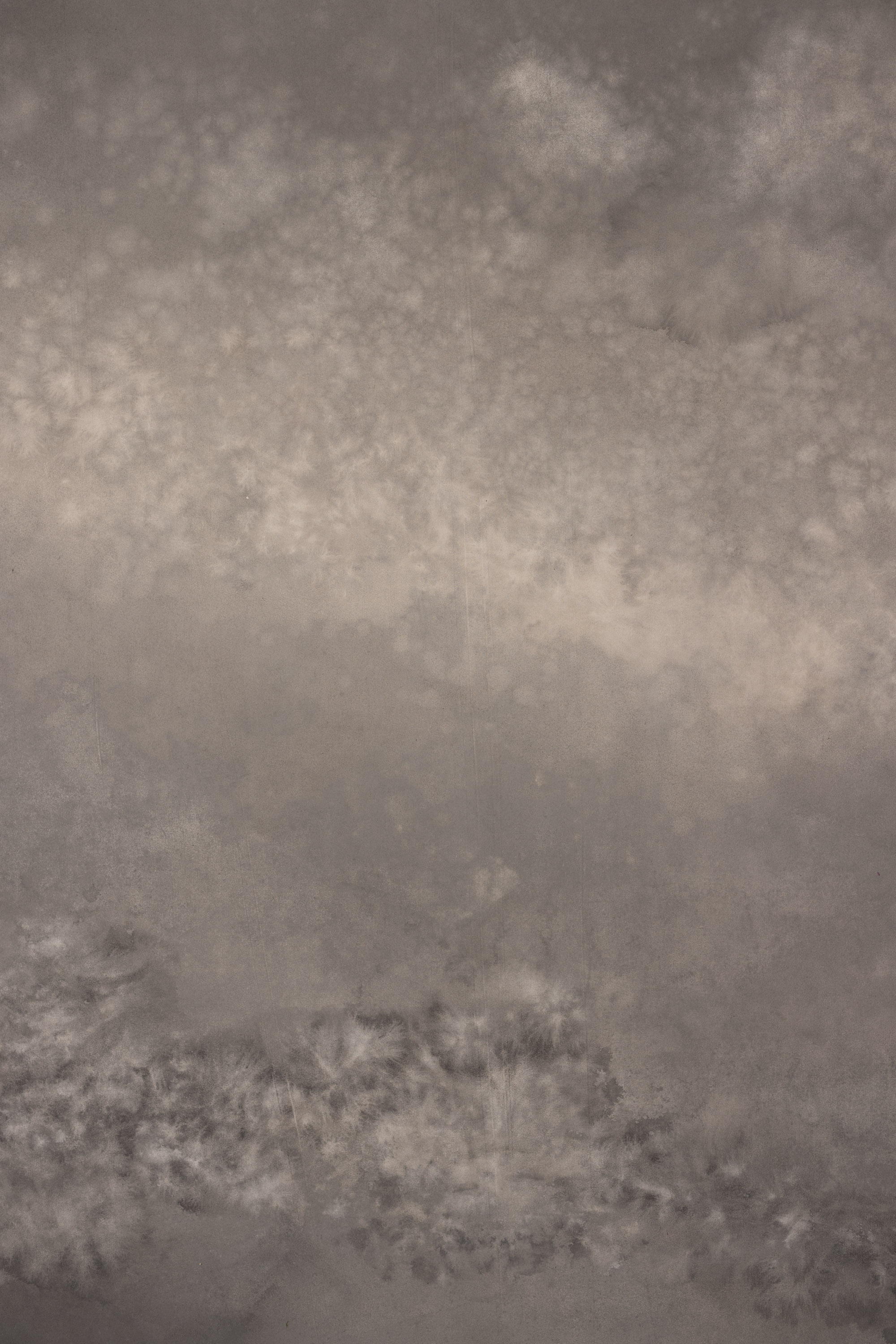 Granite and Cocoa Painted Canvas Backdrop (RN#132)