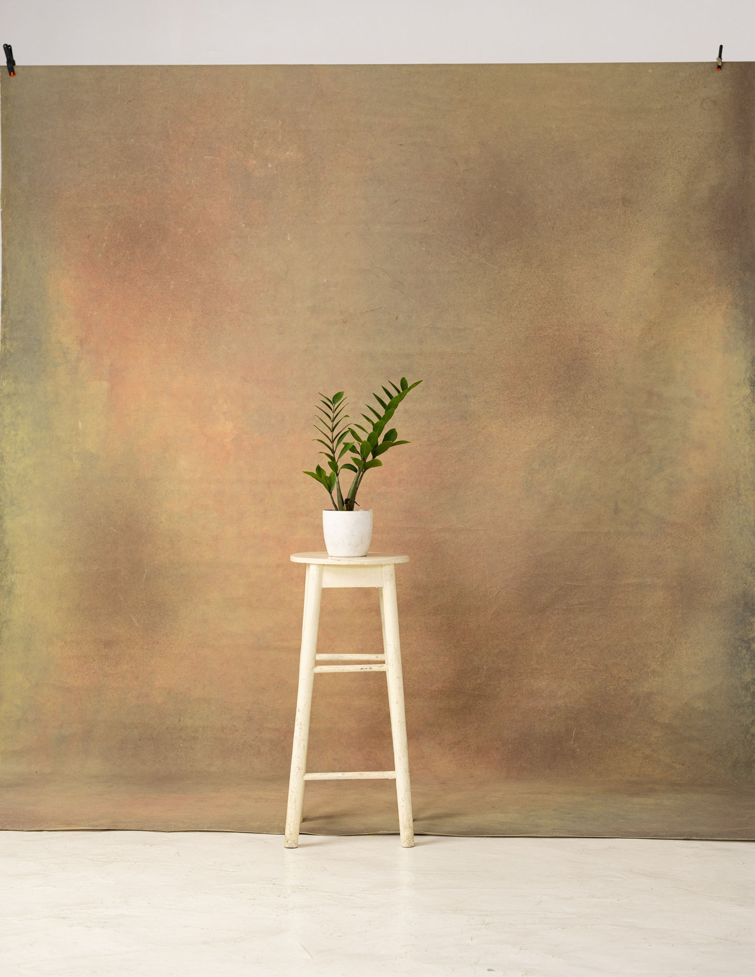 Earth Painted Canvas Backdrop (RN#16) view 3