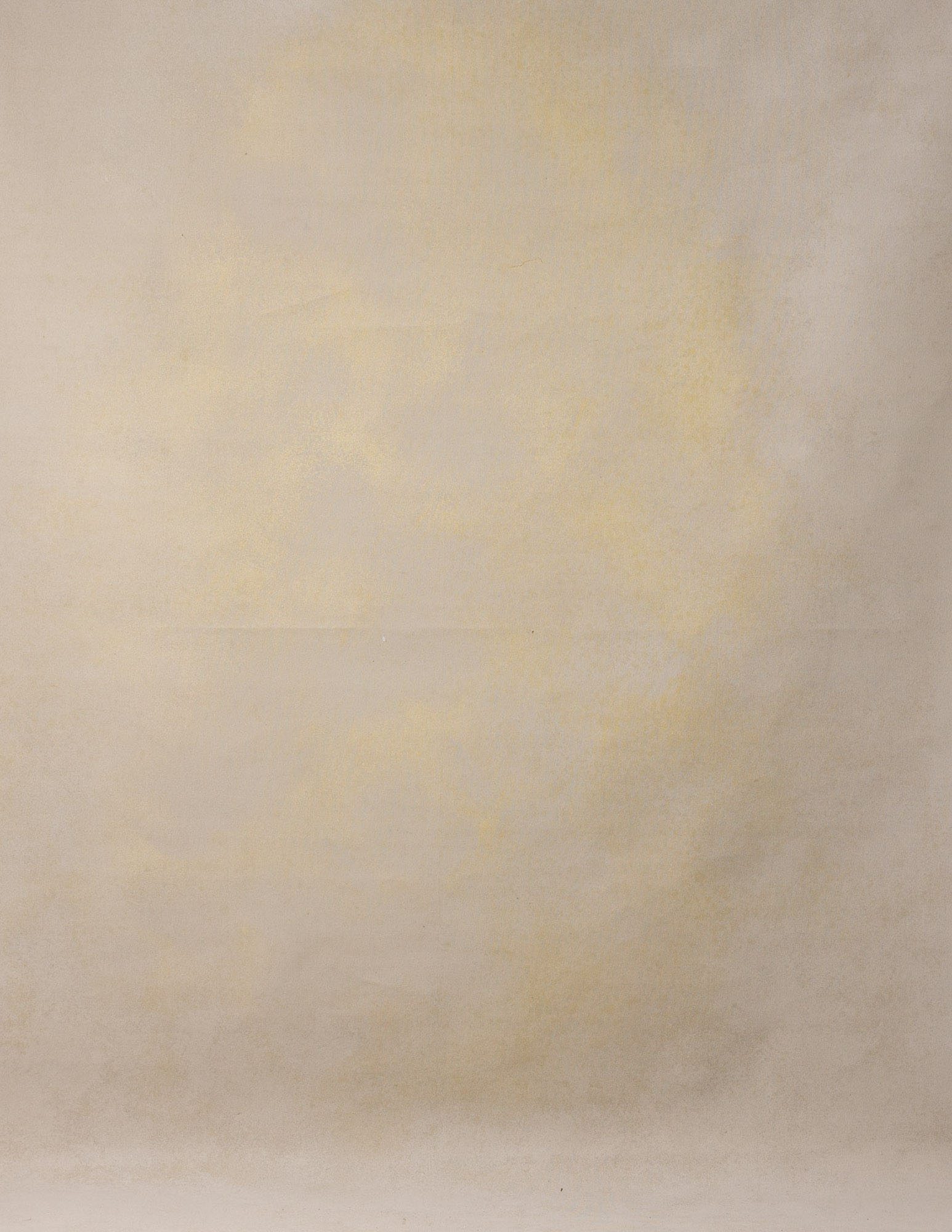 Mushroom Painted Canvas Backdrop (RN#220)