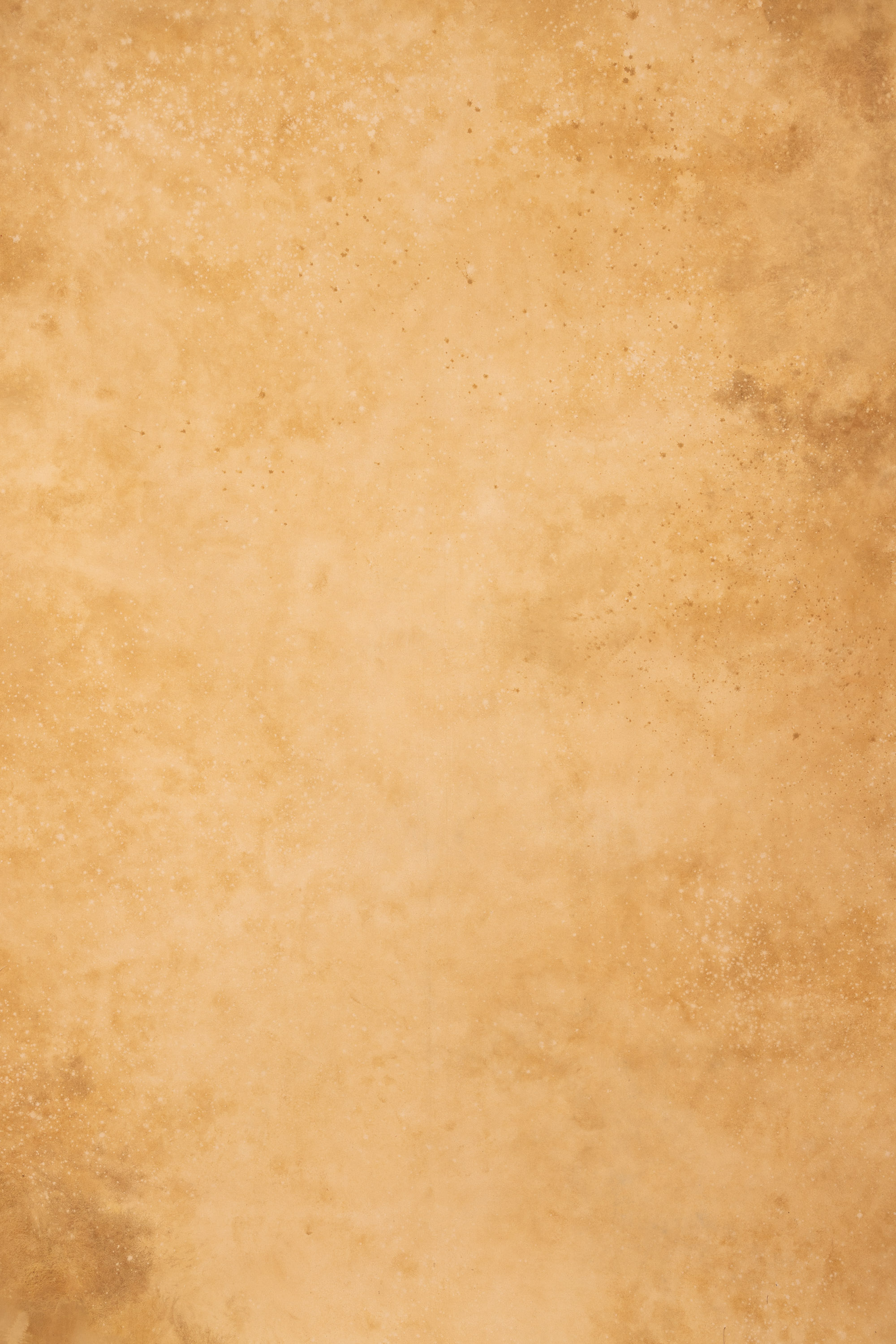 Peach Harvest and Iridium Painted Canvas Backdrop (RN#130)