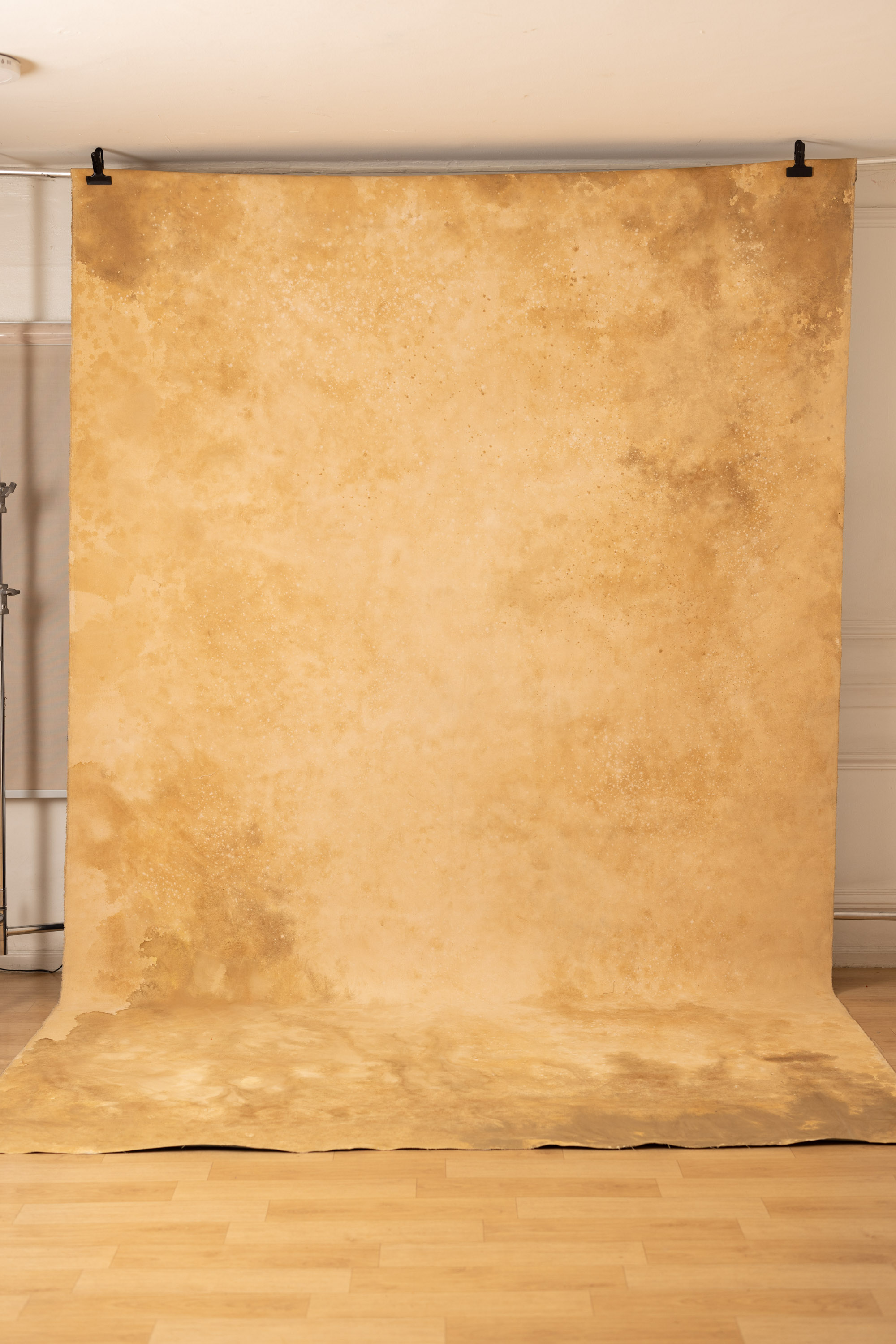 Peach Harvest and Iridium Painted Canvas Backdrop (RN#130) view 3