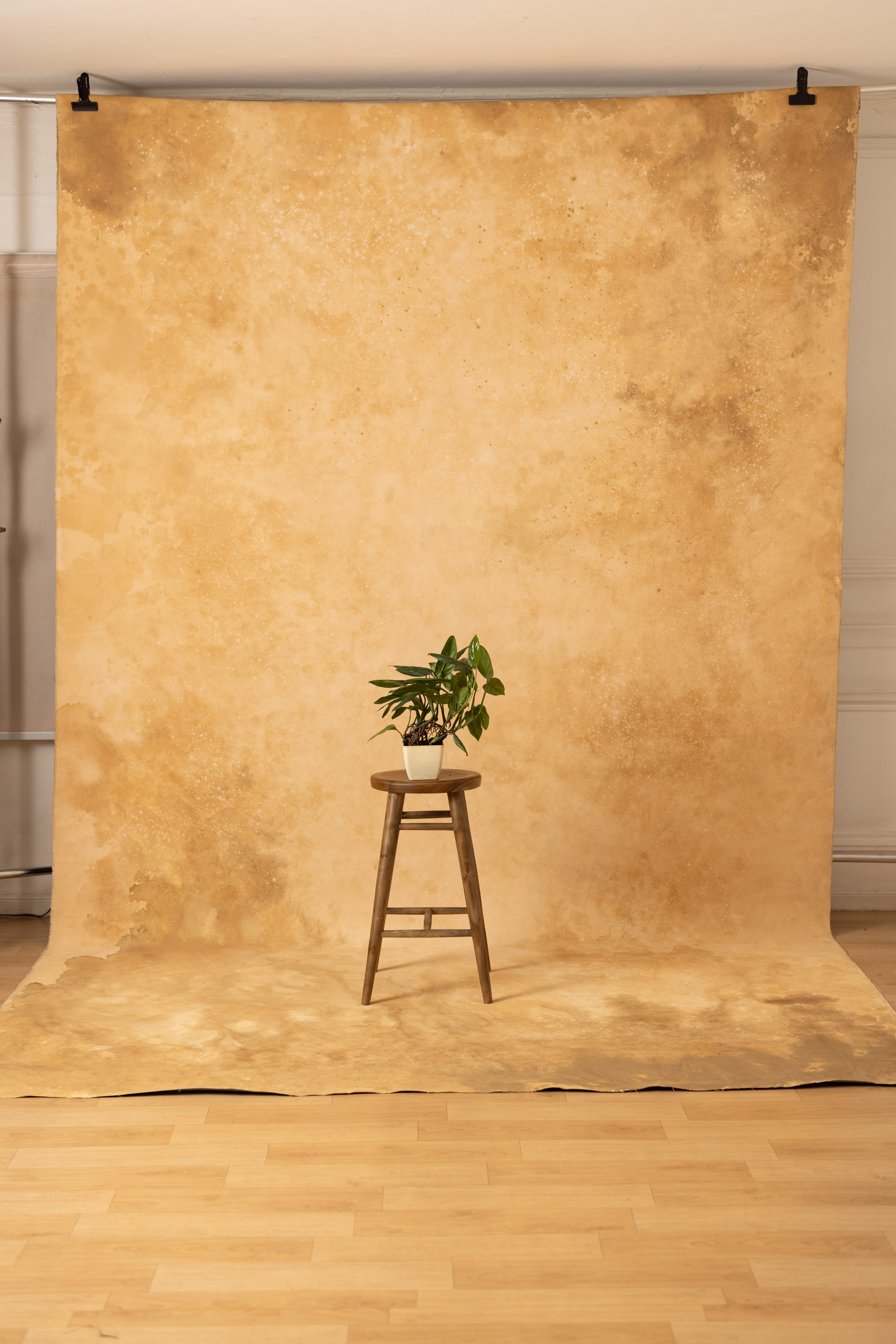 Peach Harvest and Iridium Painted Canvas Backdrop (RN#130) view 5