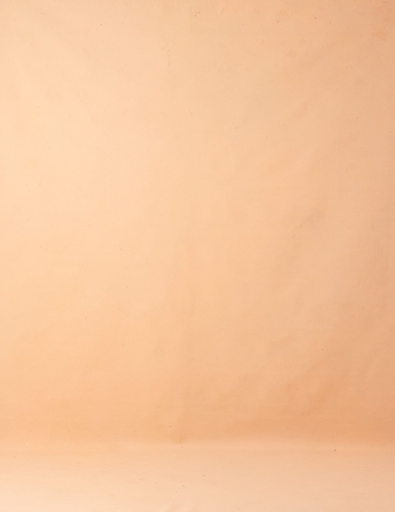 Desert Orange Painted Canvas Backdrop (RN#26)