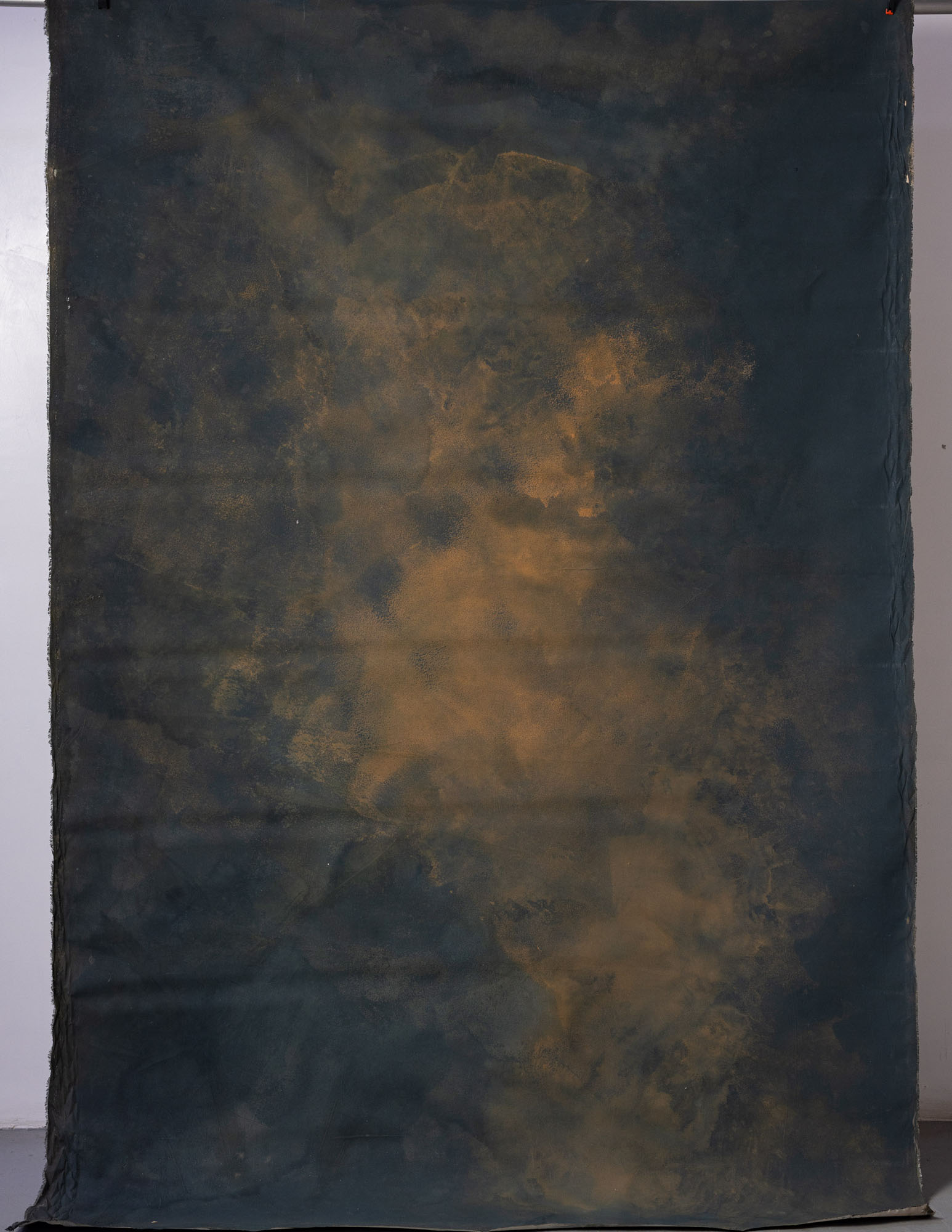 Birch Painted Canvas Backdrop (RN#121) view 2