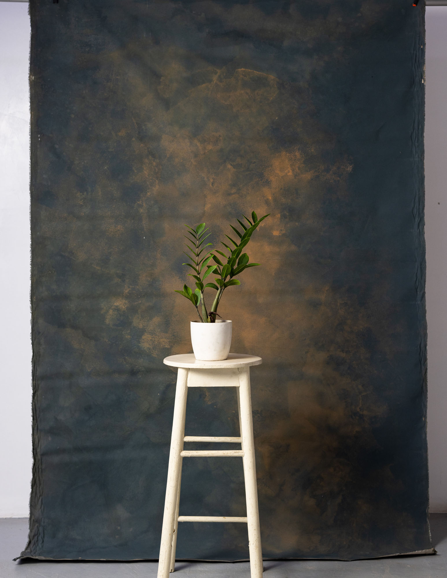 Birch Painted Canvas Backdrop (RN#121) view 3