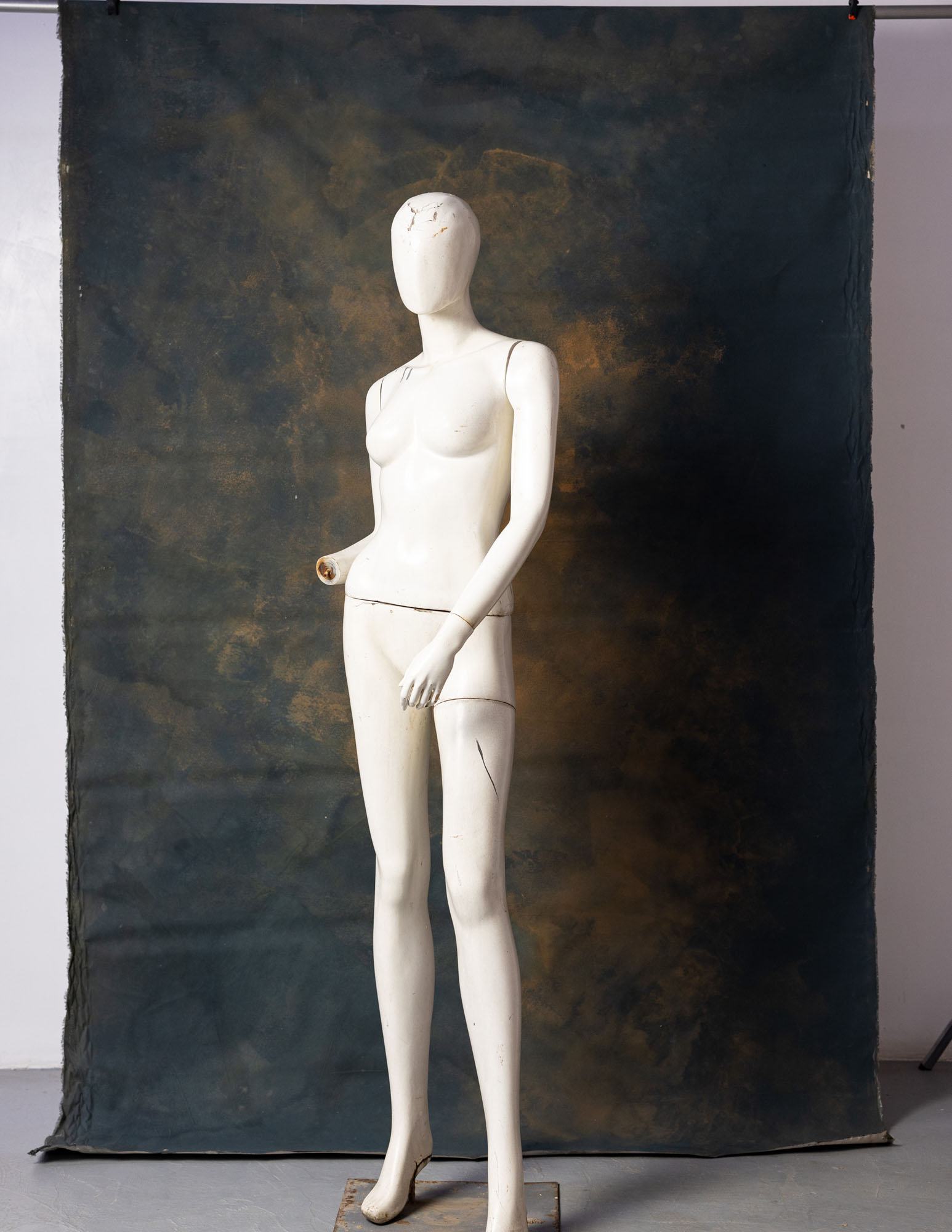 Birch Painted Canvas Backdrop (RN#121) view 4