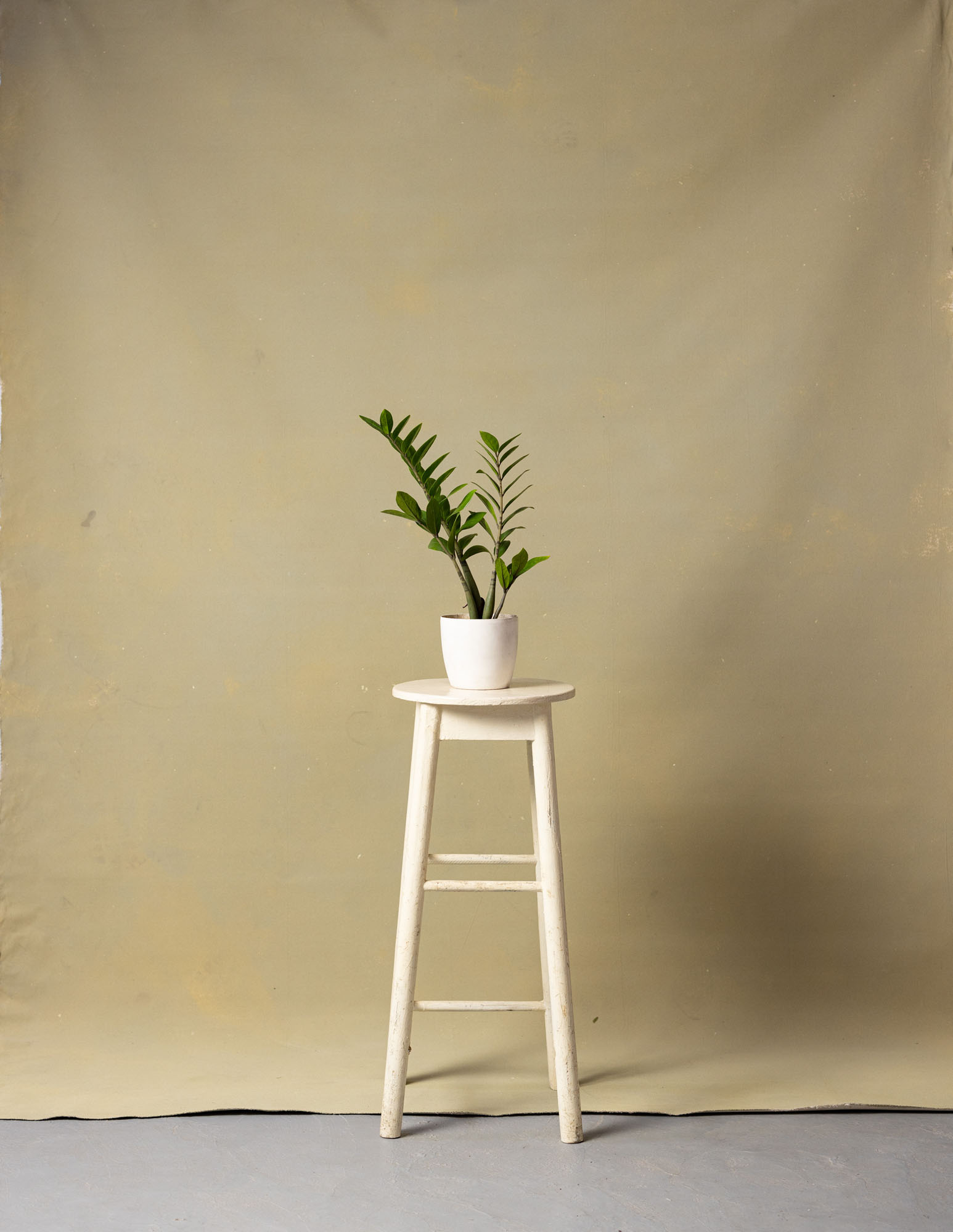 Clay Creek Painted Canvas Backdrop (RN#219) view 2