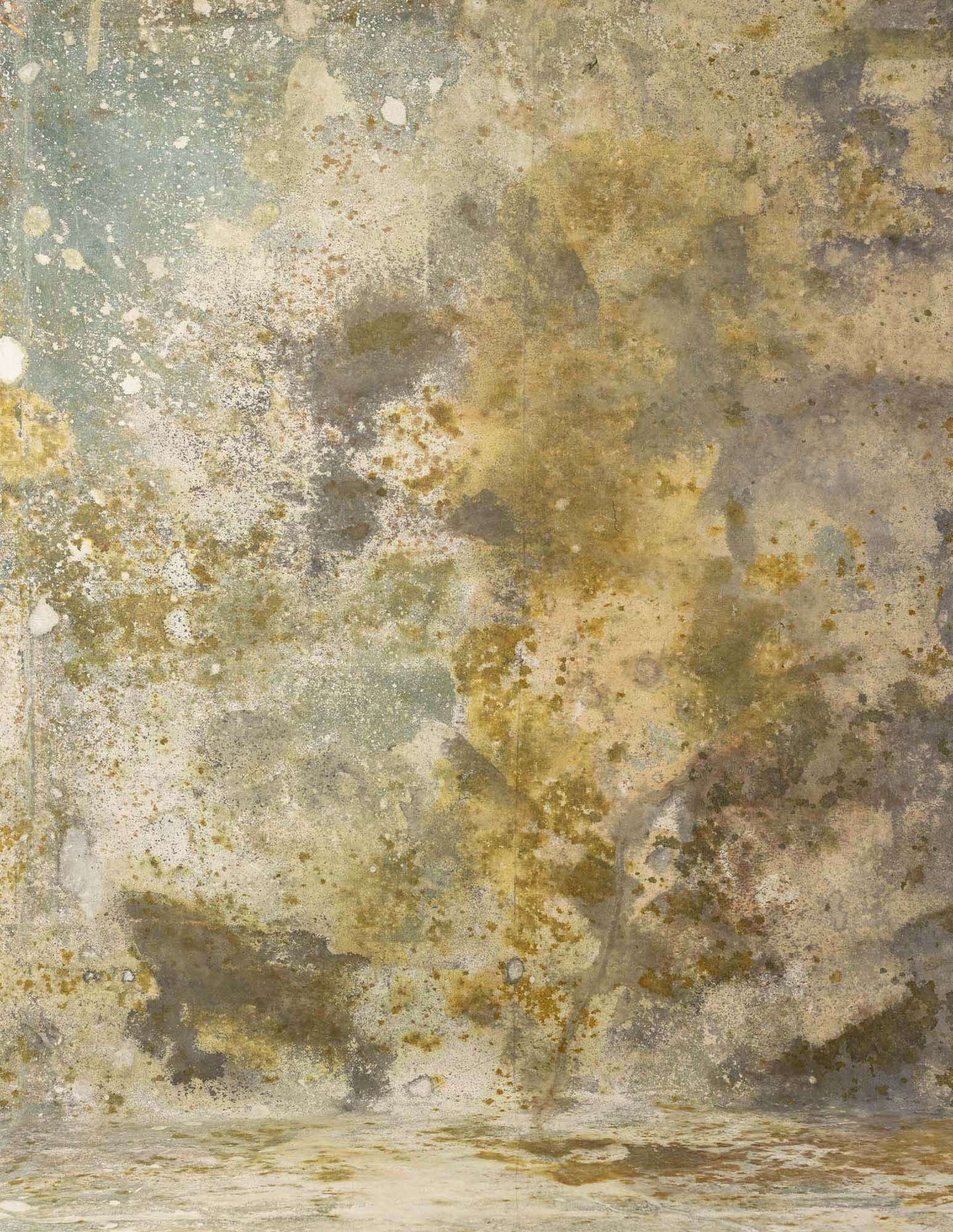 Sandstone Painted Canvas Backdrop (RN#32) view 2
