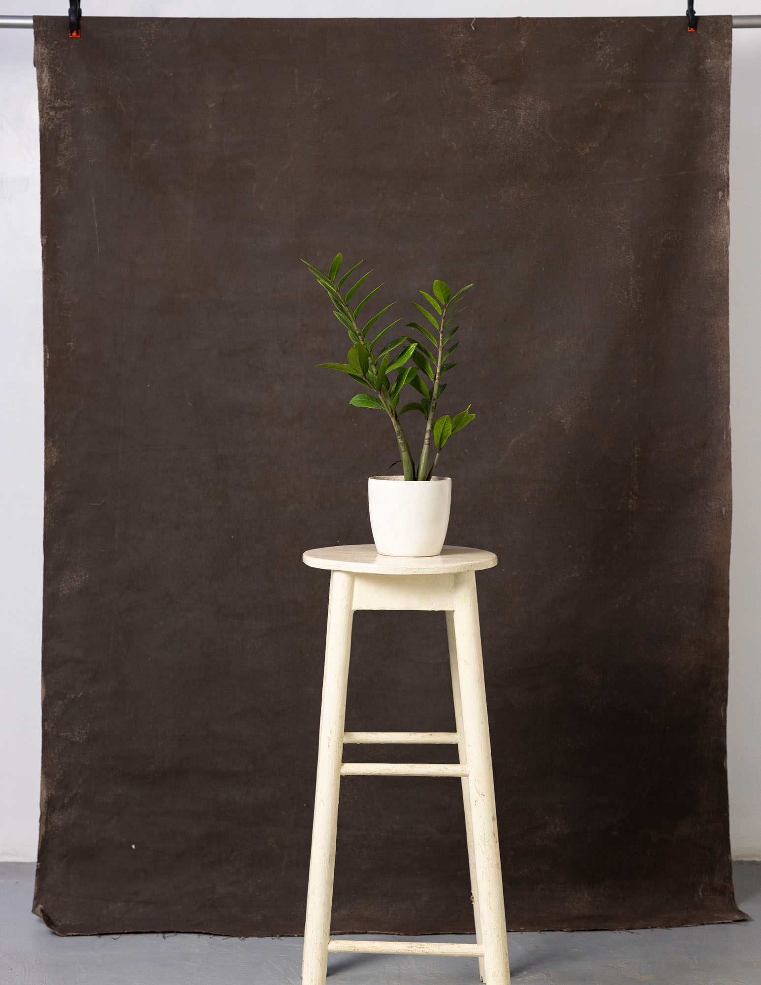 Bistre Painted Canvas Backdrop (RN#03) view 5