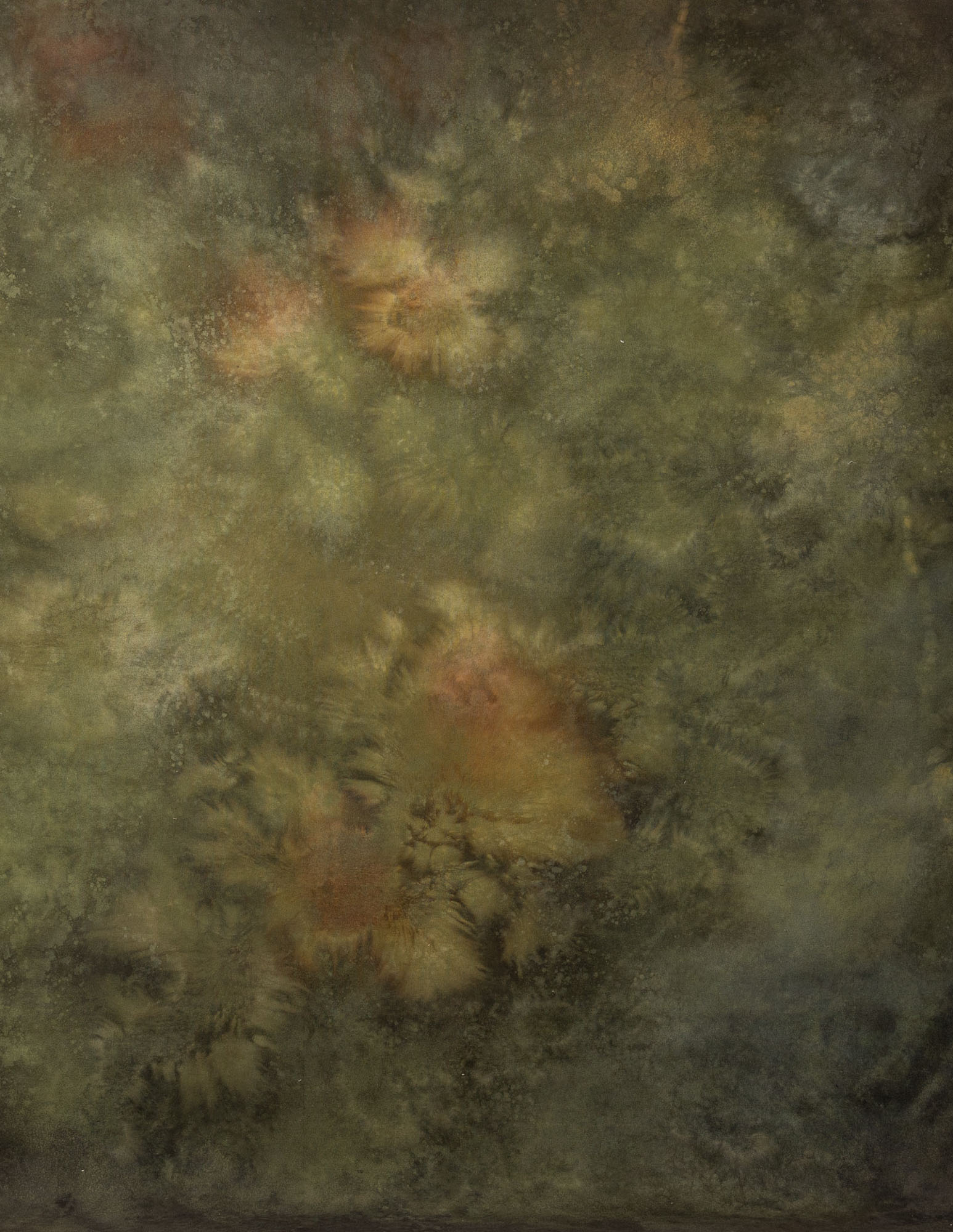 Forest Brown Painted Canvas Backdrop (RN#142)