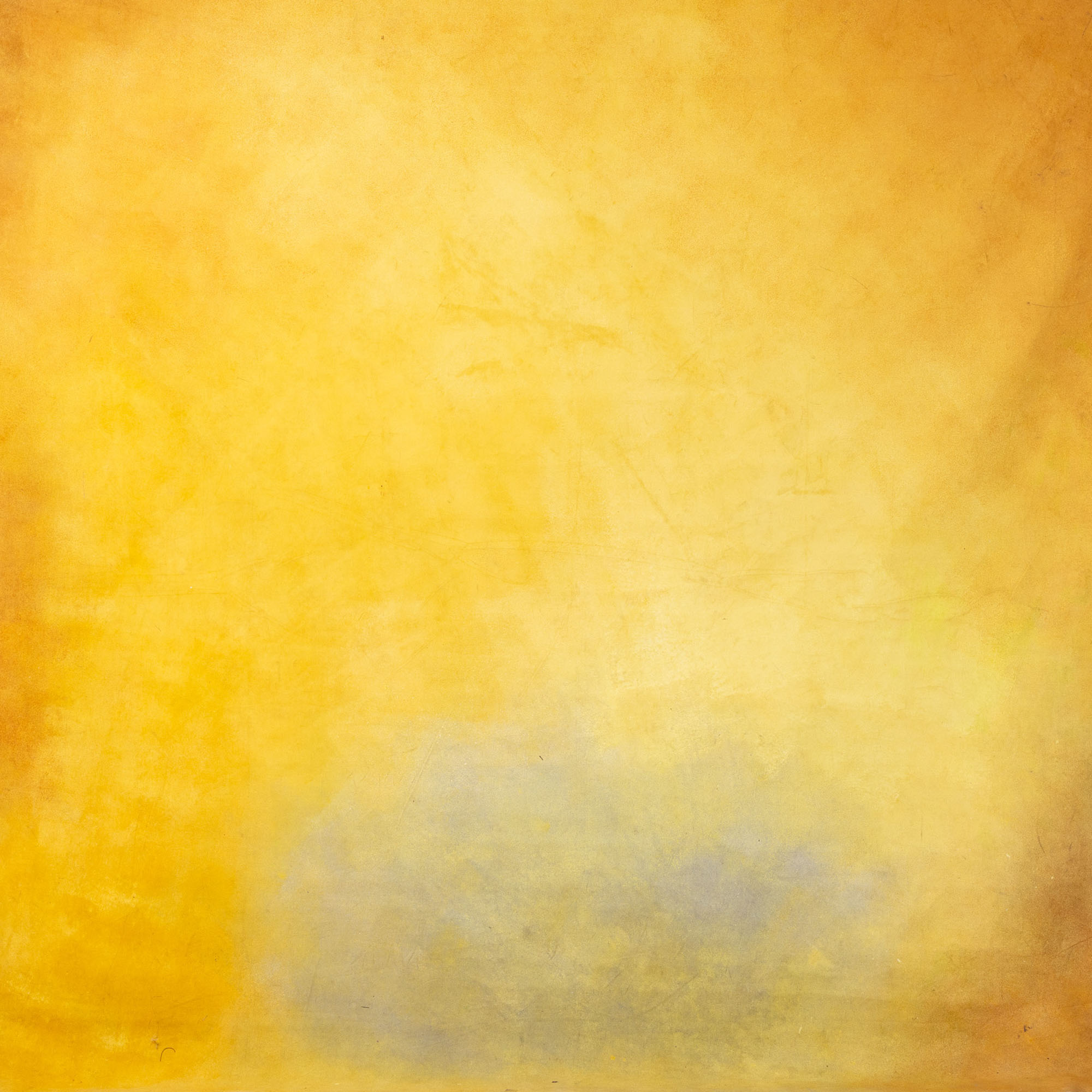Fire Bush Painted Canvas Backdrop (RN#17)