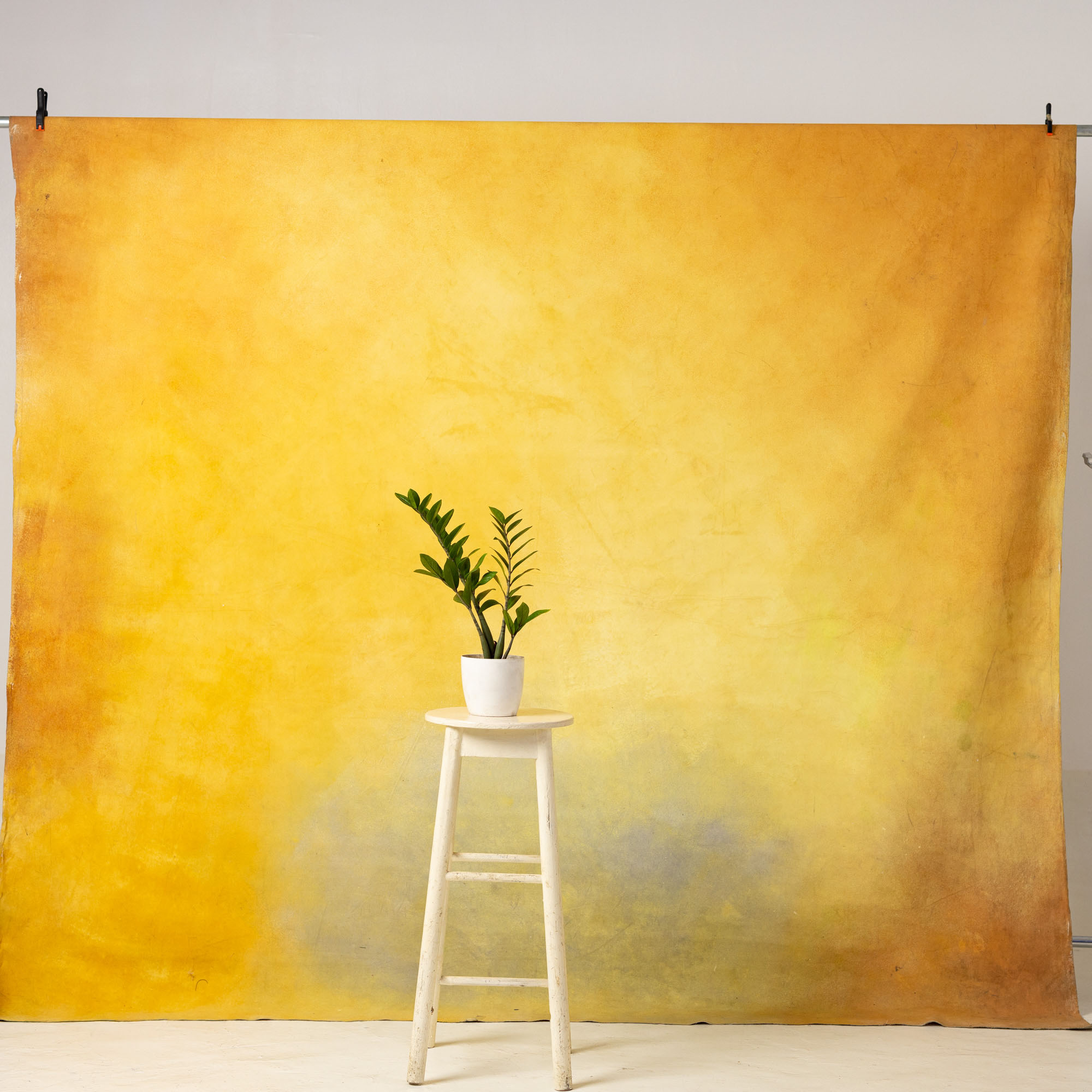 Fire Bush Painted Canvas Backdrop (RN#17) view 3