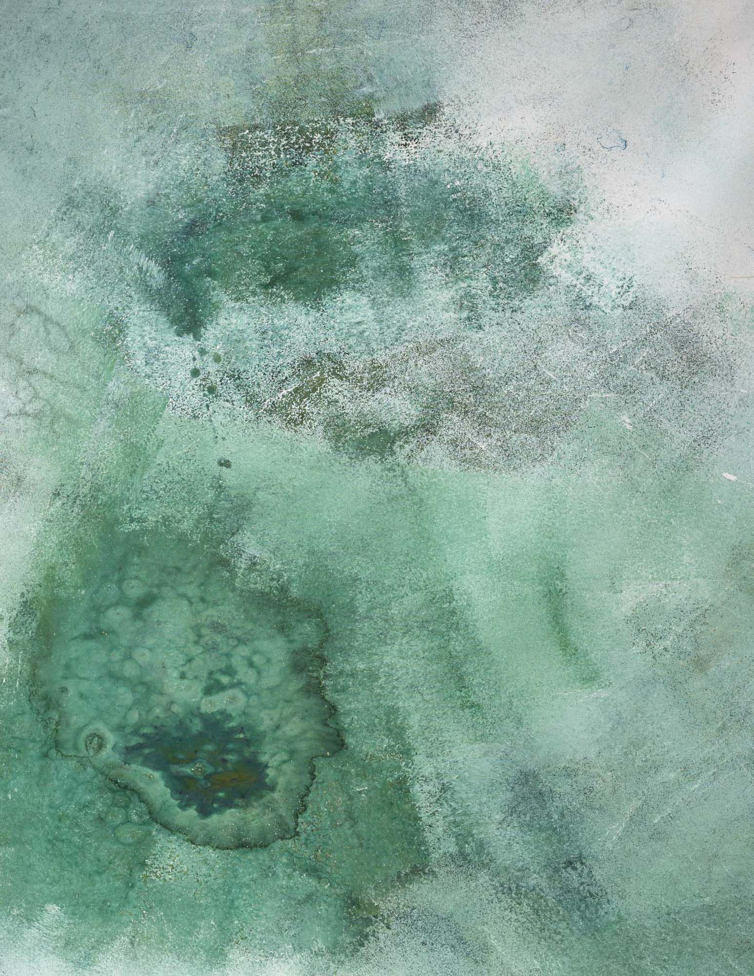 Camouflaged Green Painted Canvas Backdrop (RN#48)