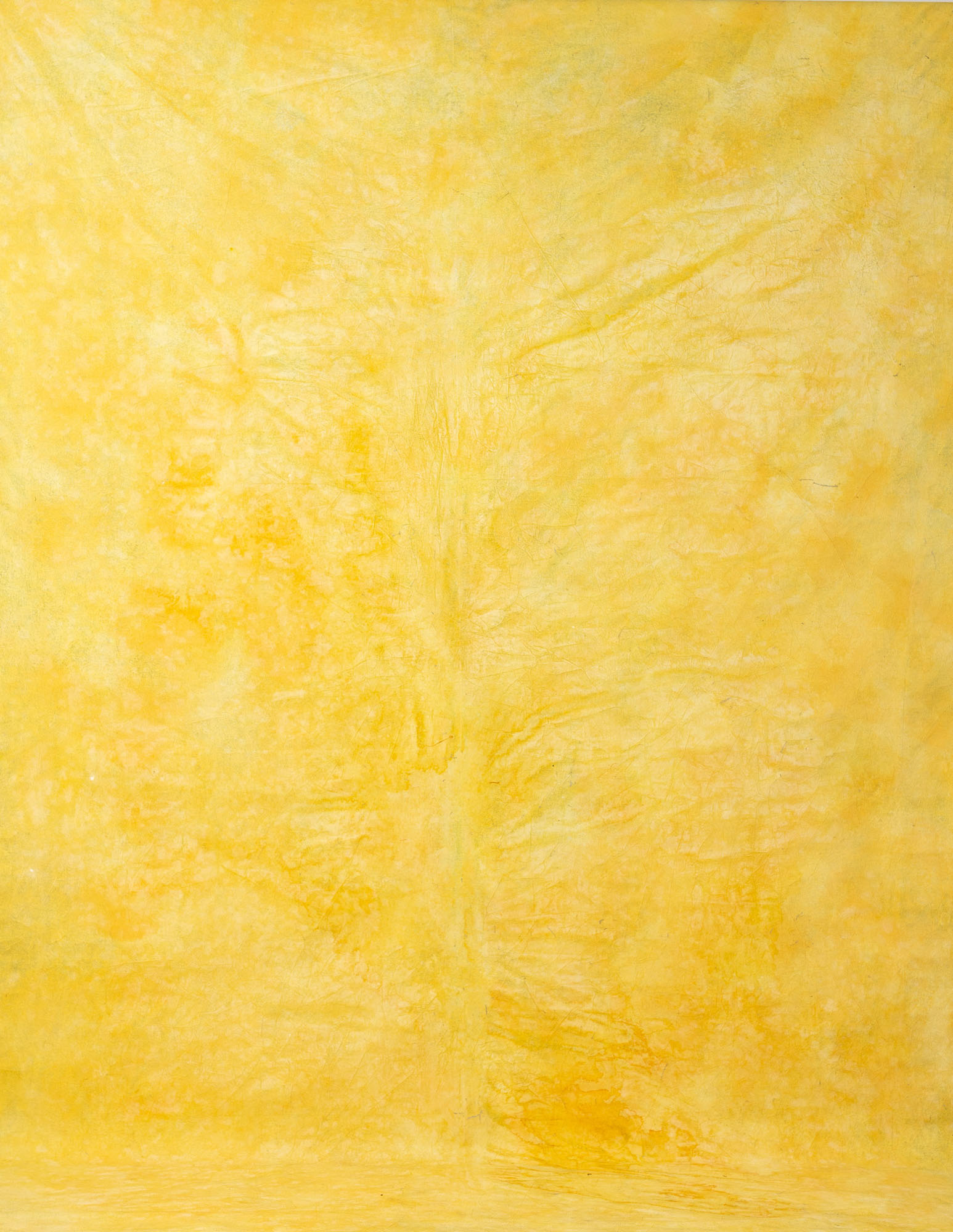 Mac and Cheese Painted Canvas Backdrop (RN#45)