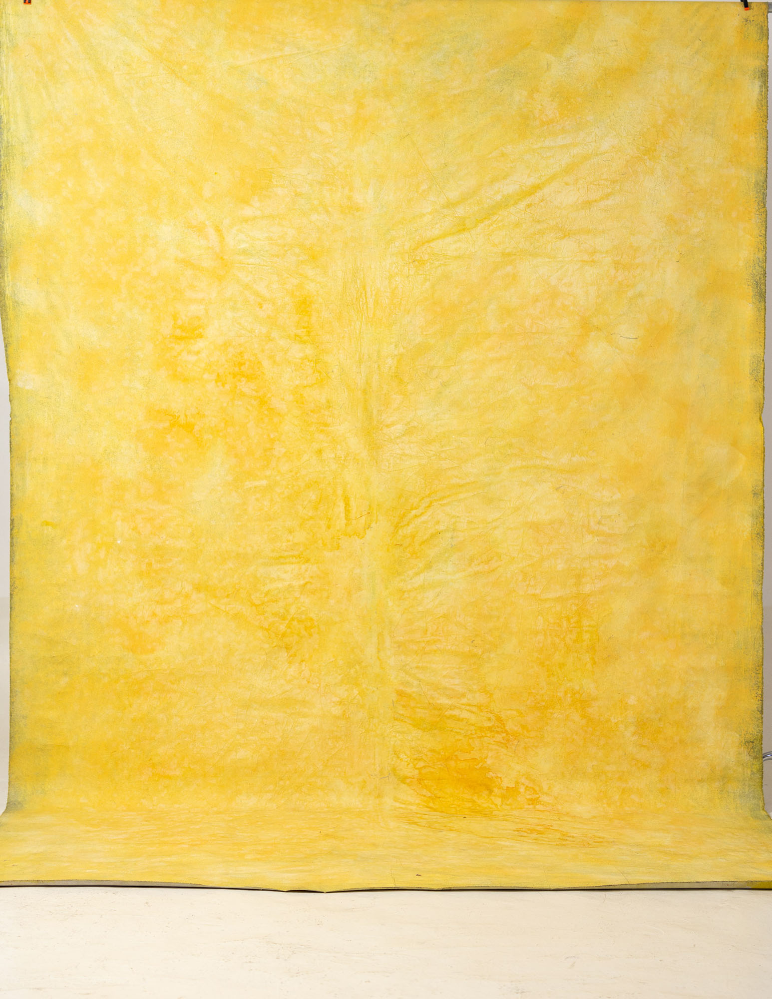 Mac and Cheese Painted Canvas Backdrop (RN#45) view 2