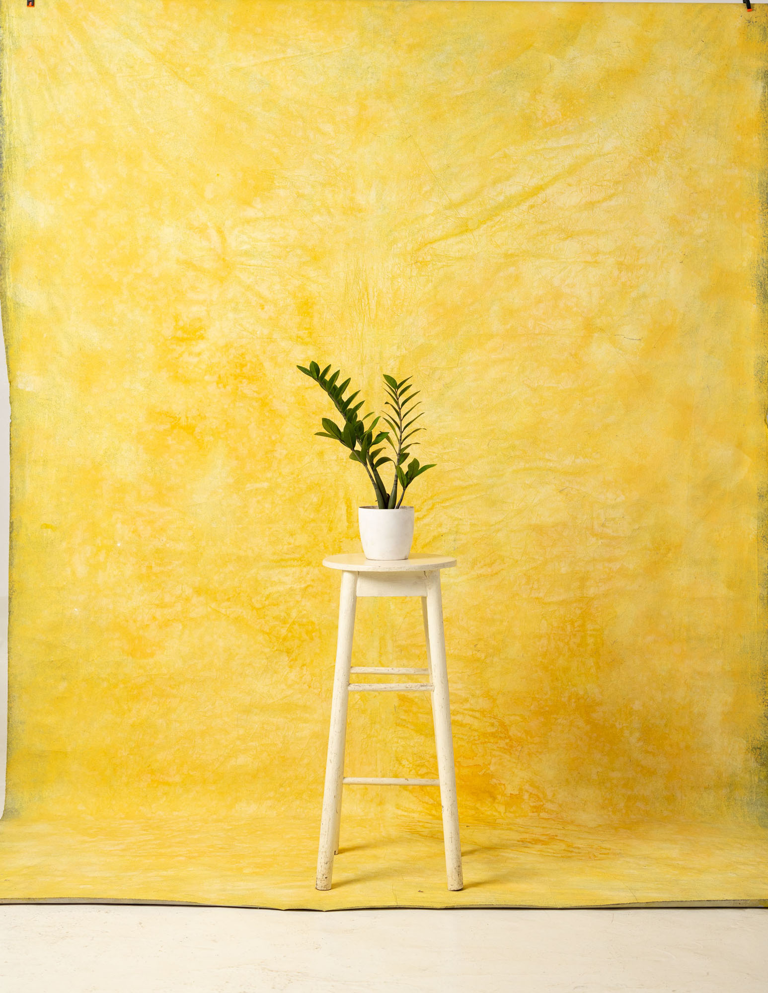 Mac and Cheese Painted Canvas Backdrop (RN#45) view 3