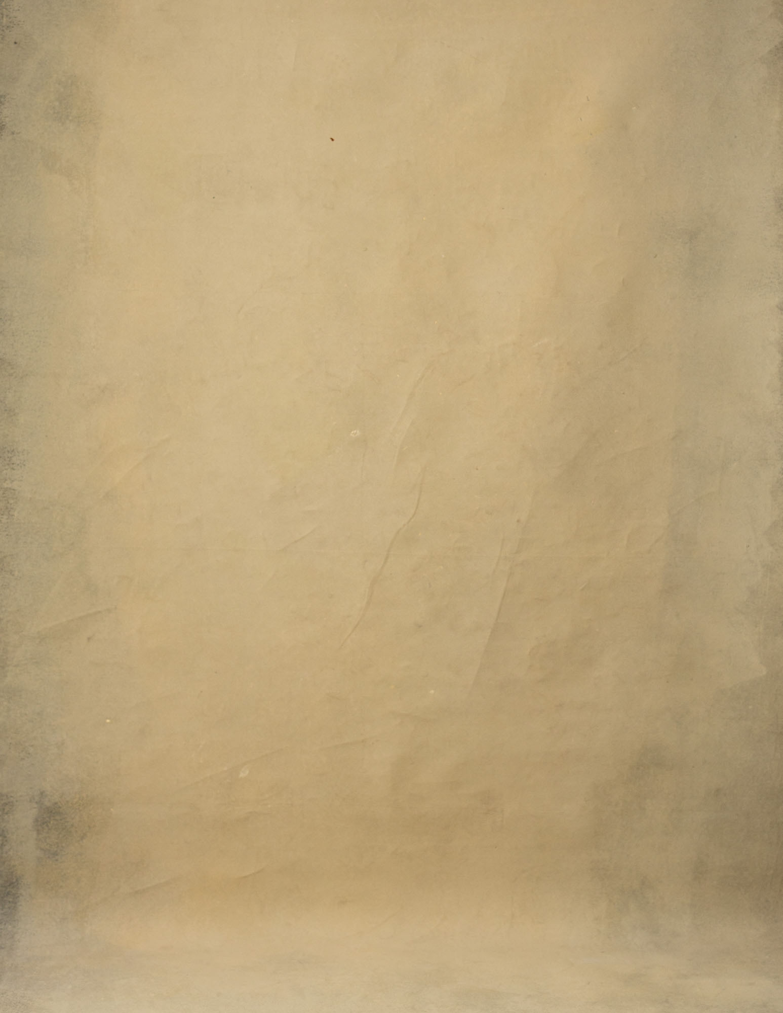 Driftwood Painted Canvas Backdrop (RN#126)