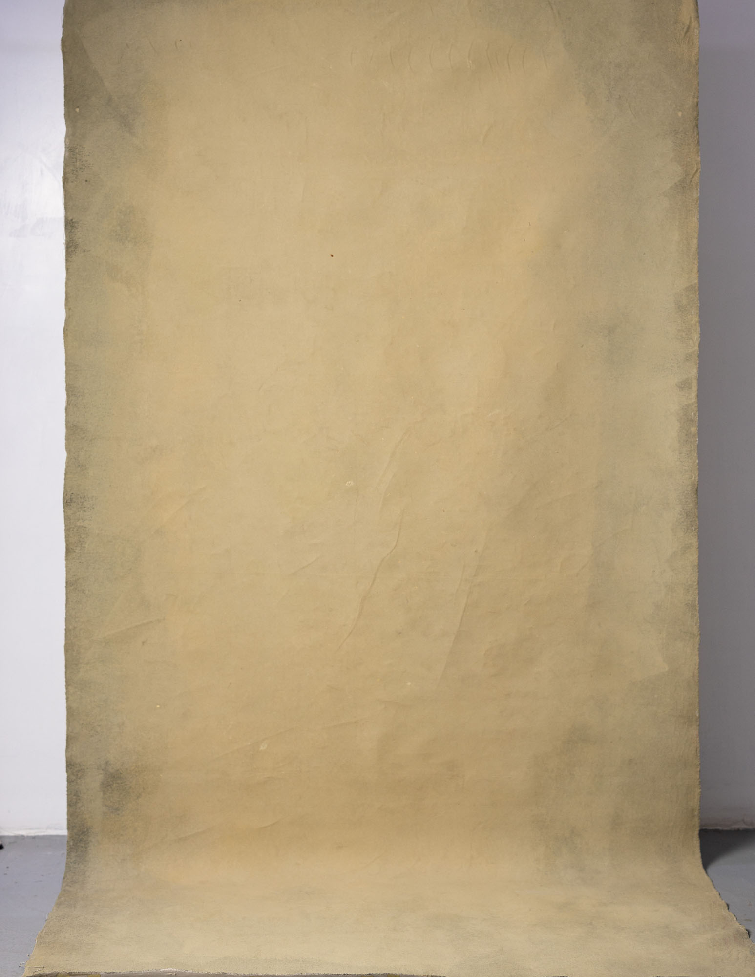 Driftwood Painted Canvas Backdrop (RN#126) view 2