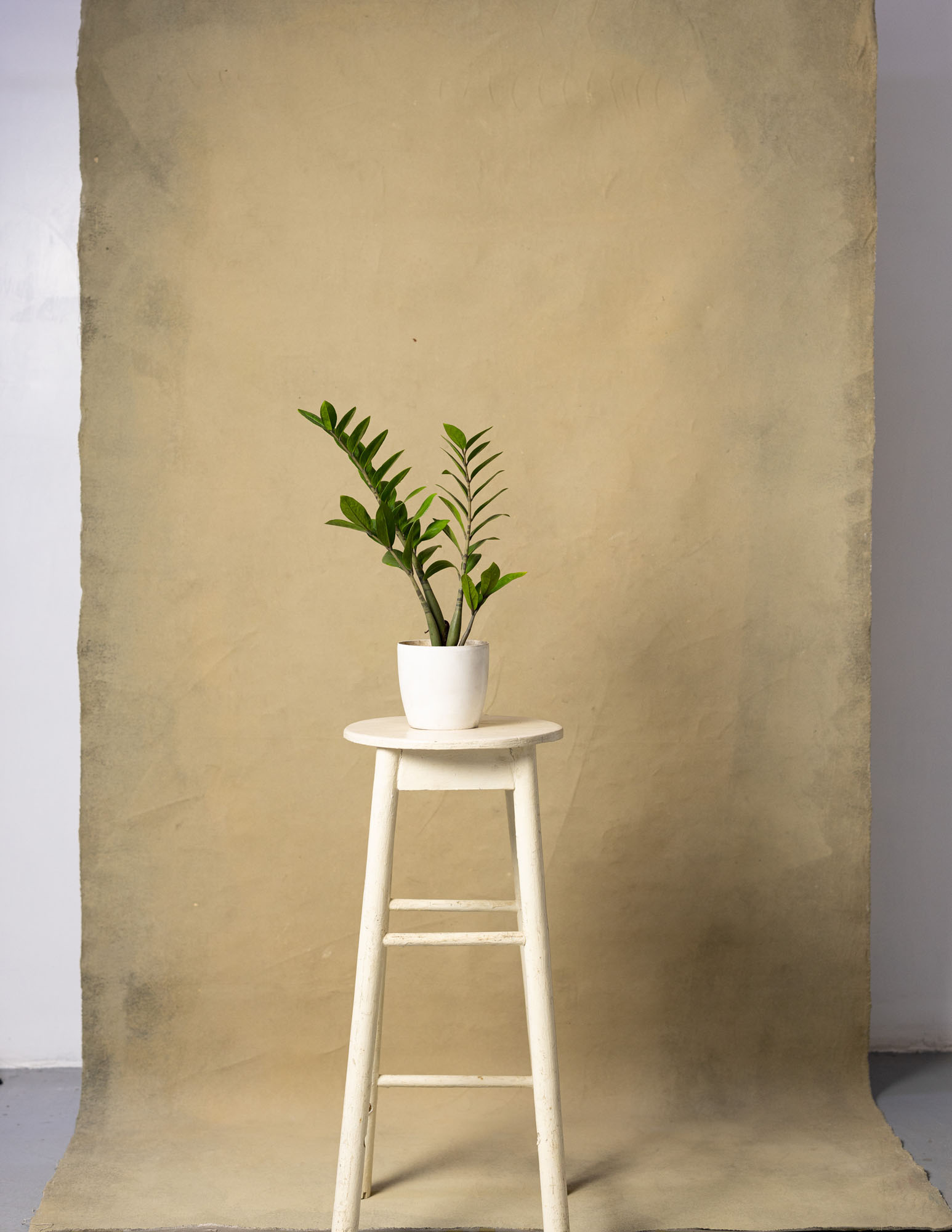 Driftwood Painted Canvas Backdrop (RN#126) view 3