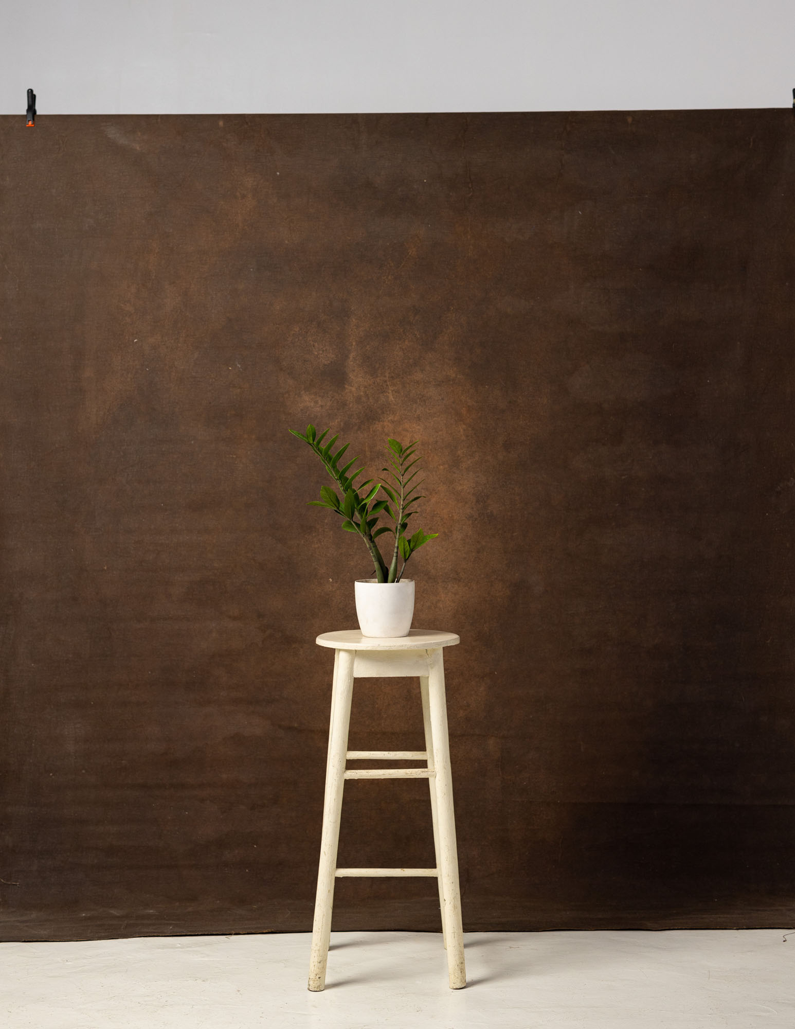 Brown Derby Painted Canvas Backdrop (RN#62) view 3
