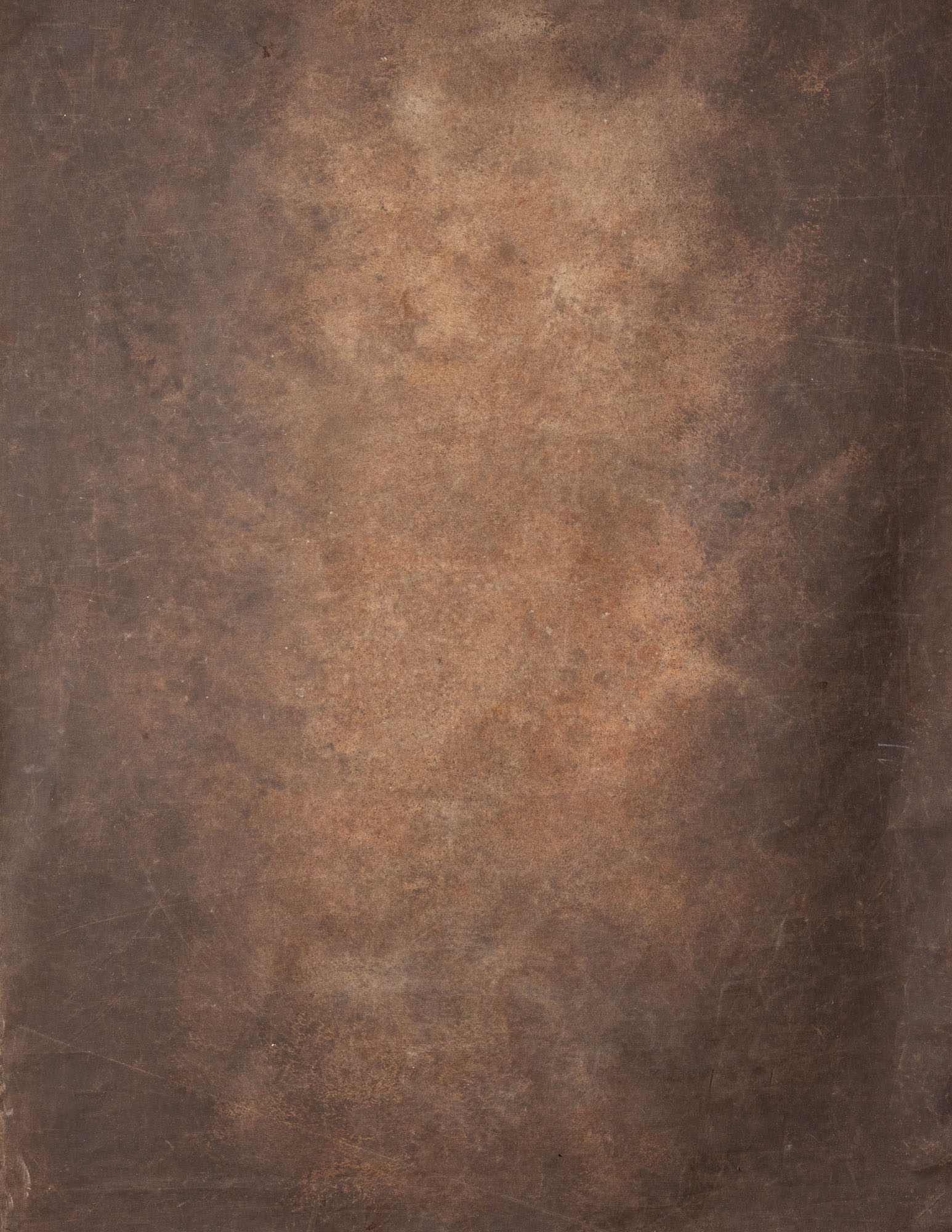 Otter Brown Painted Canvas Backdrop (RN#60)