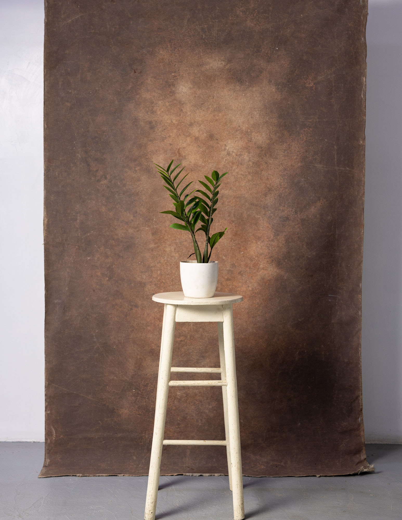 Otter Brown Painted Canvas Backdrop (RN#60) view 3