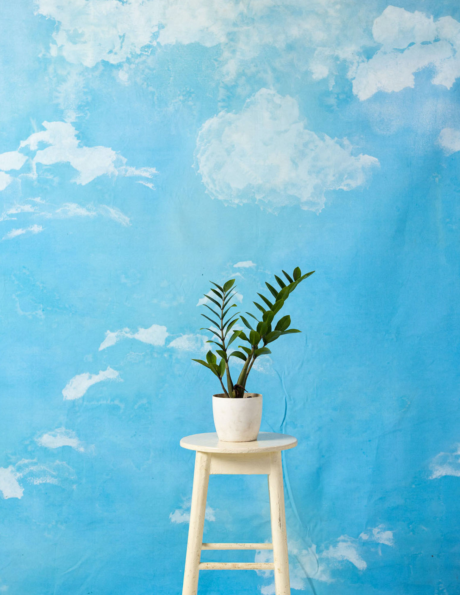 Blue Sky Painted Canvas Backdrop (RN#209)
