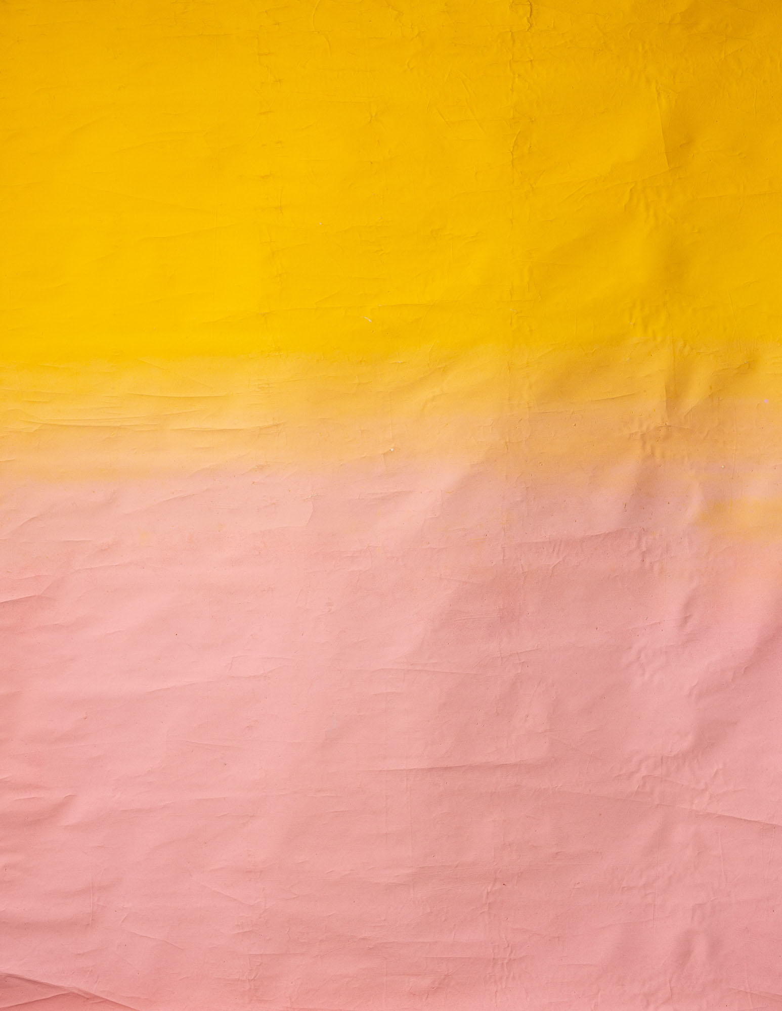 Saffron Painted Canvas Backdrop (RN#61)