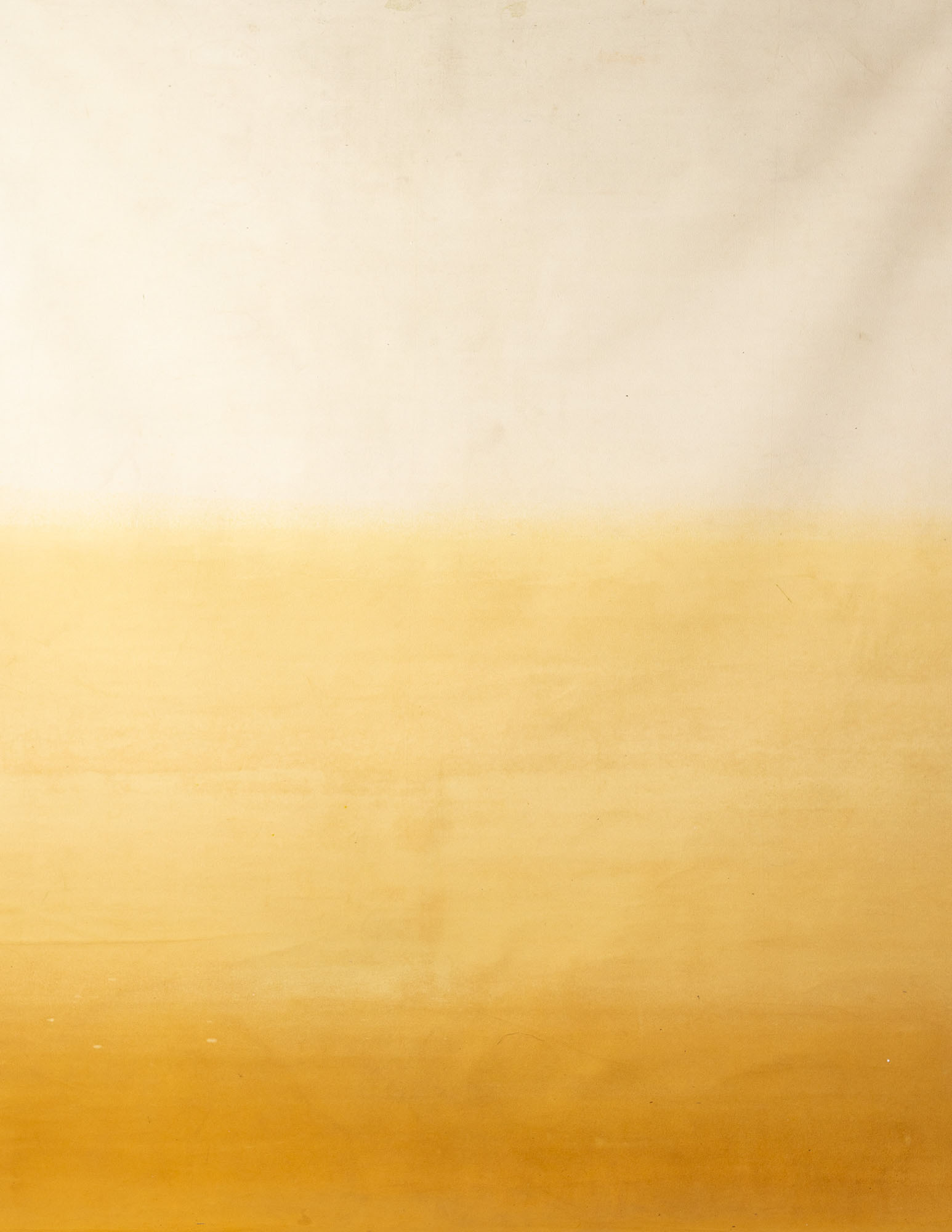 Chardonnay Gradient Painted Canvas Backdrop (RN#75)