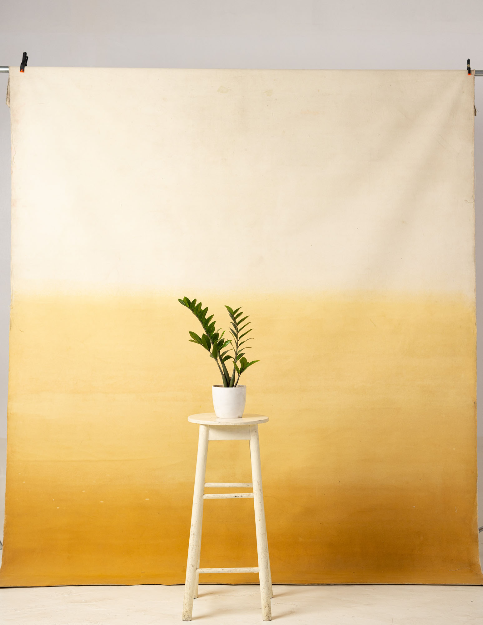 Chardonnay Gradient Painted Canvas Backdrop (RN#75) view 3
