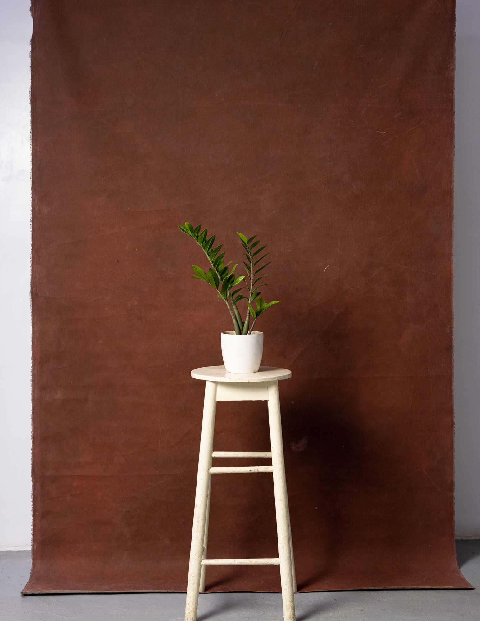 Cherrywood Painted Canvas Backdrop (RN#56) view 3