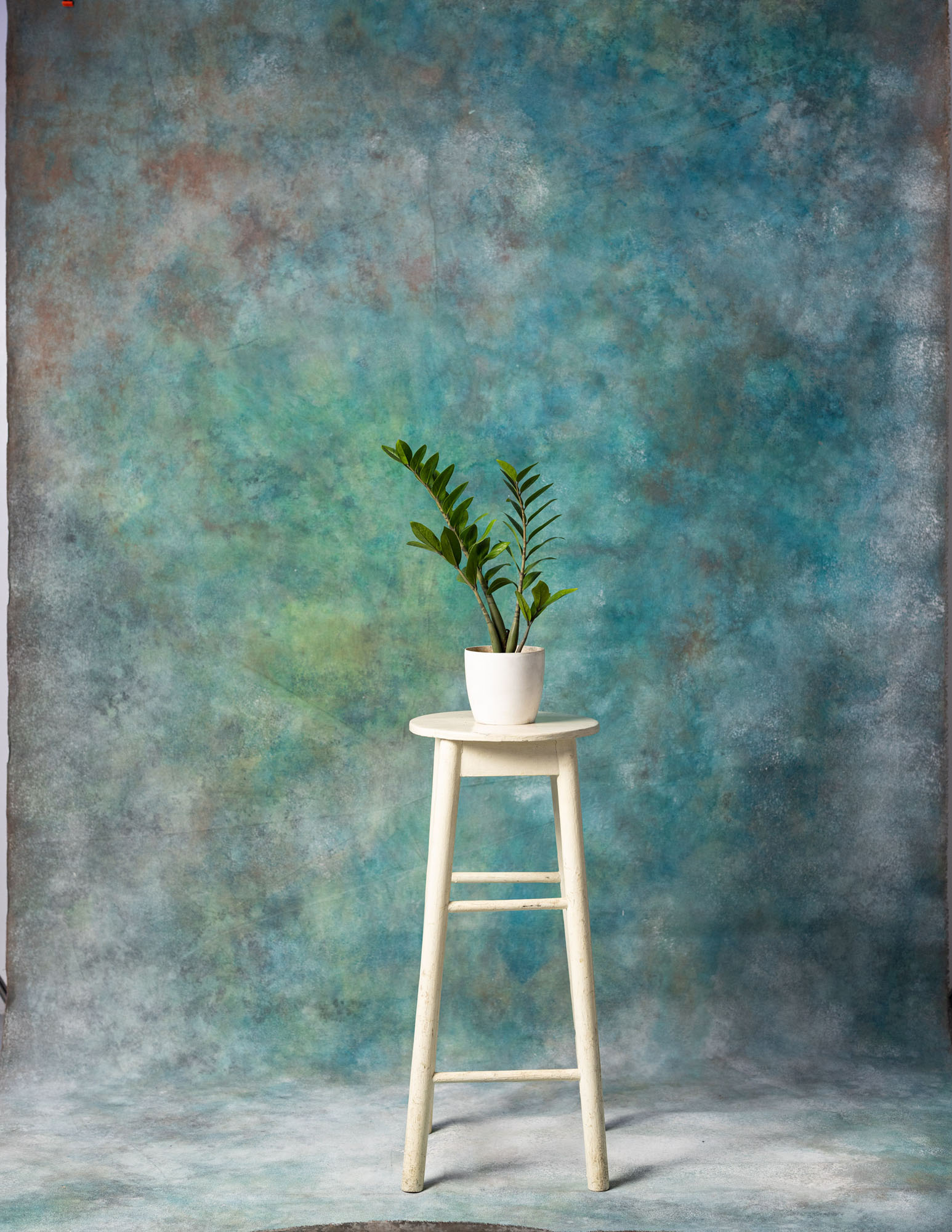 Plantation Painted Canvas Backdrop (RN#12) view 3