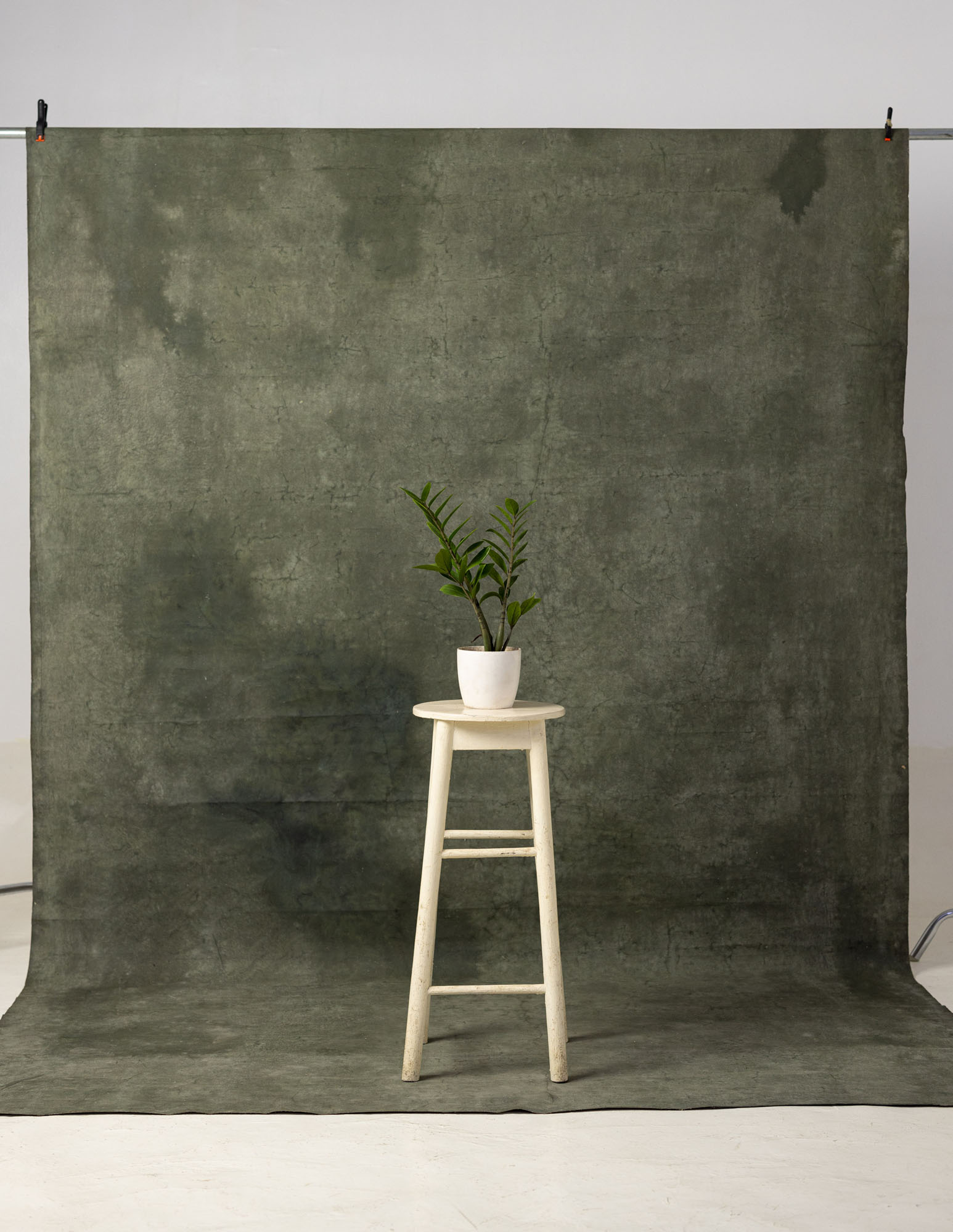 Pine Cone Painted Canvas Backdrop (RN#31) view 3