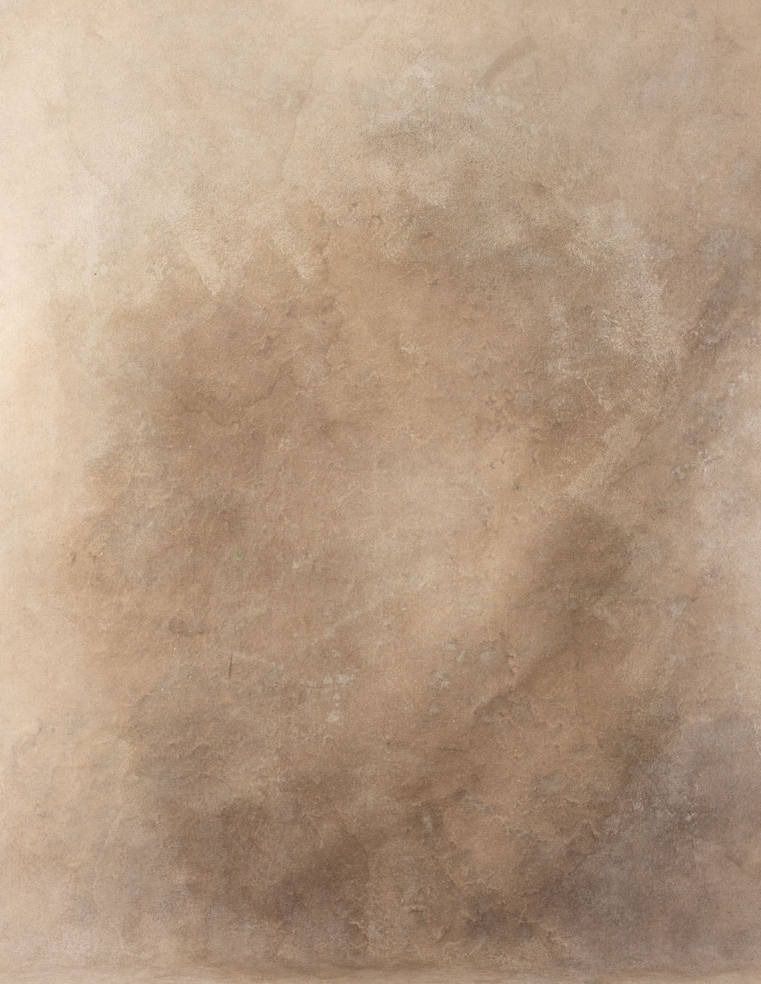 Light Taupe Painted Canvas Backdrop (RN#158)