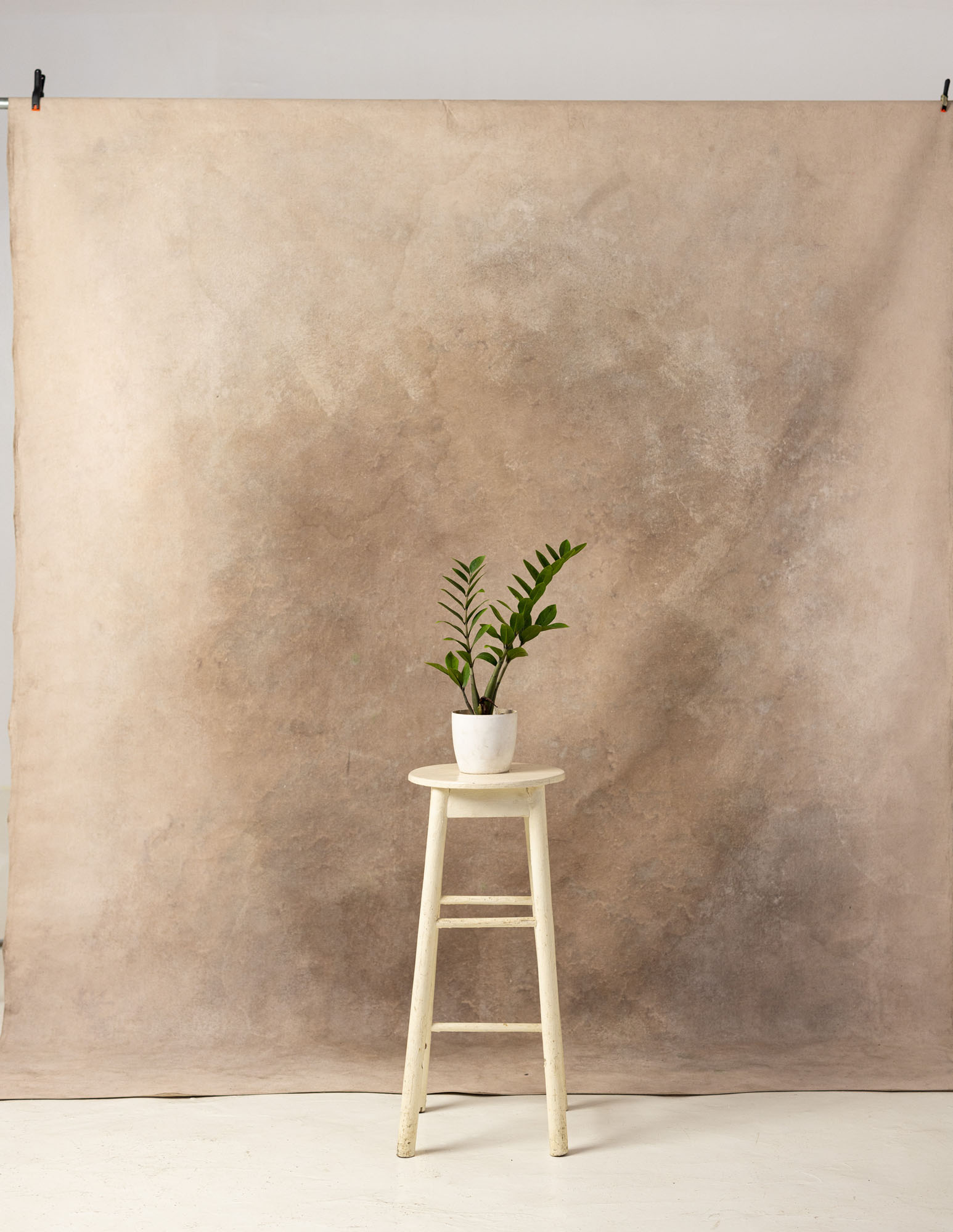 Light Taupe Painted Canvas Backdrop (RN#158) view 3