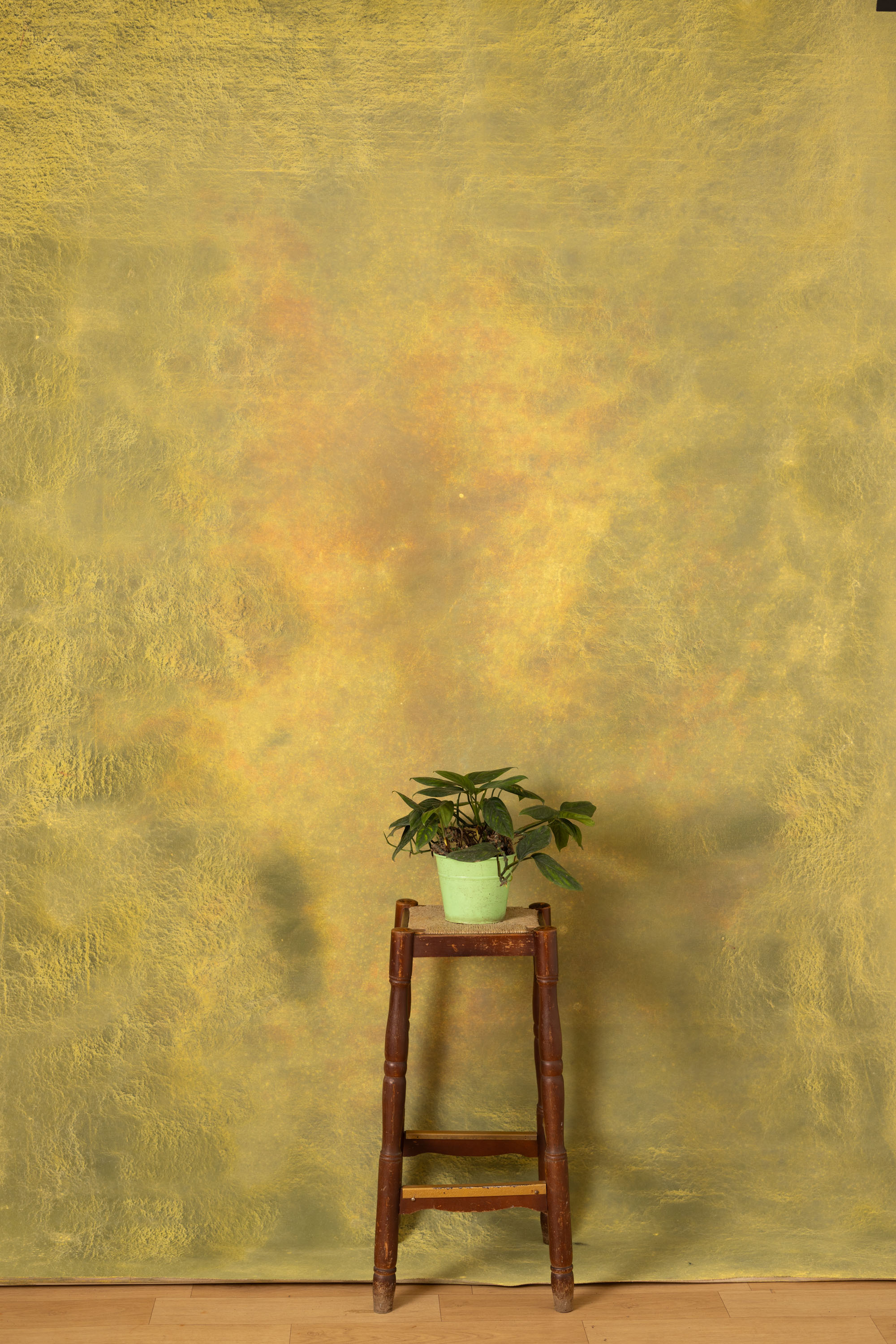 Apache Painted Canvas Backdrop (RN#01)