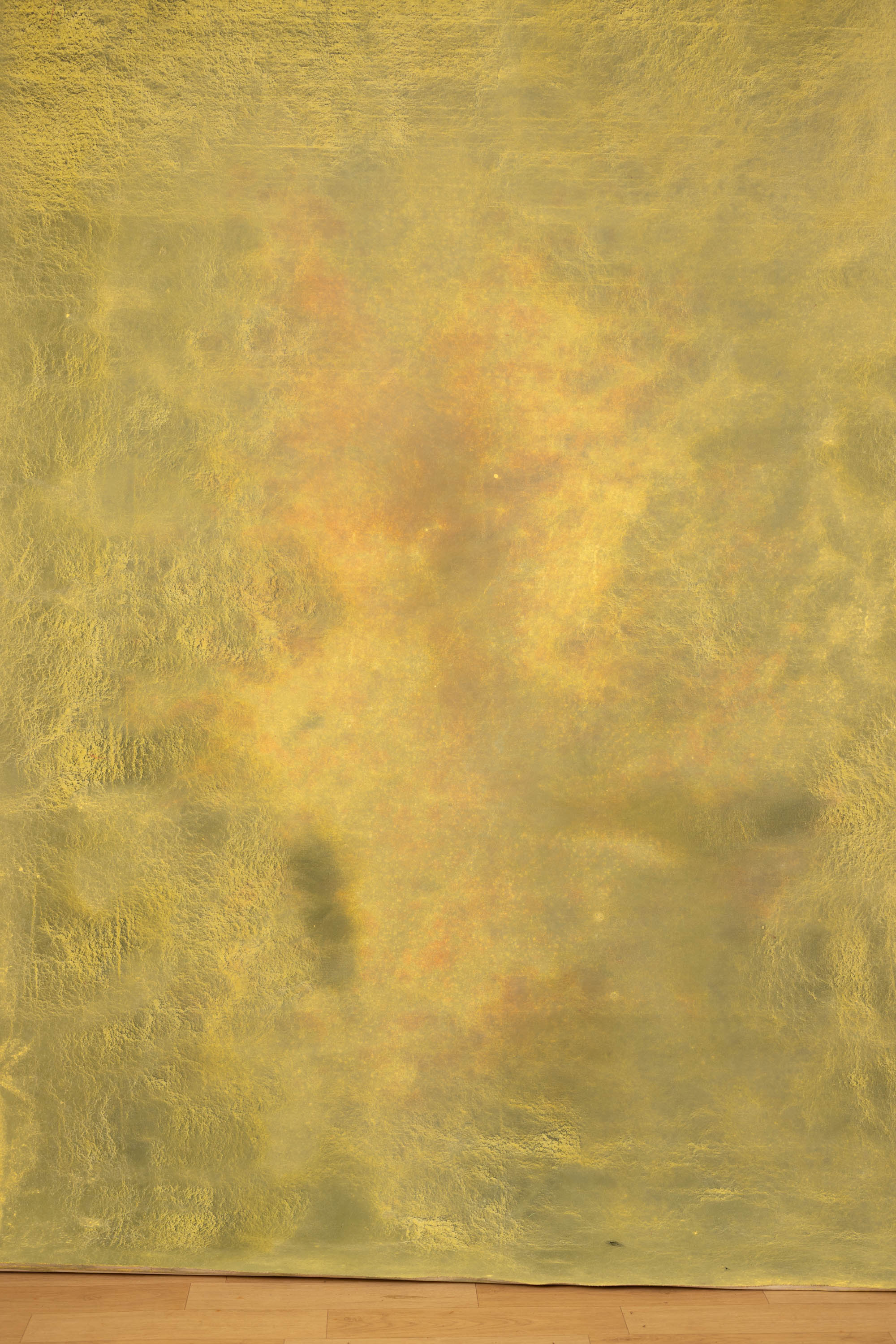 Apache Painted Canvas Backdrop (RN#01) view 2