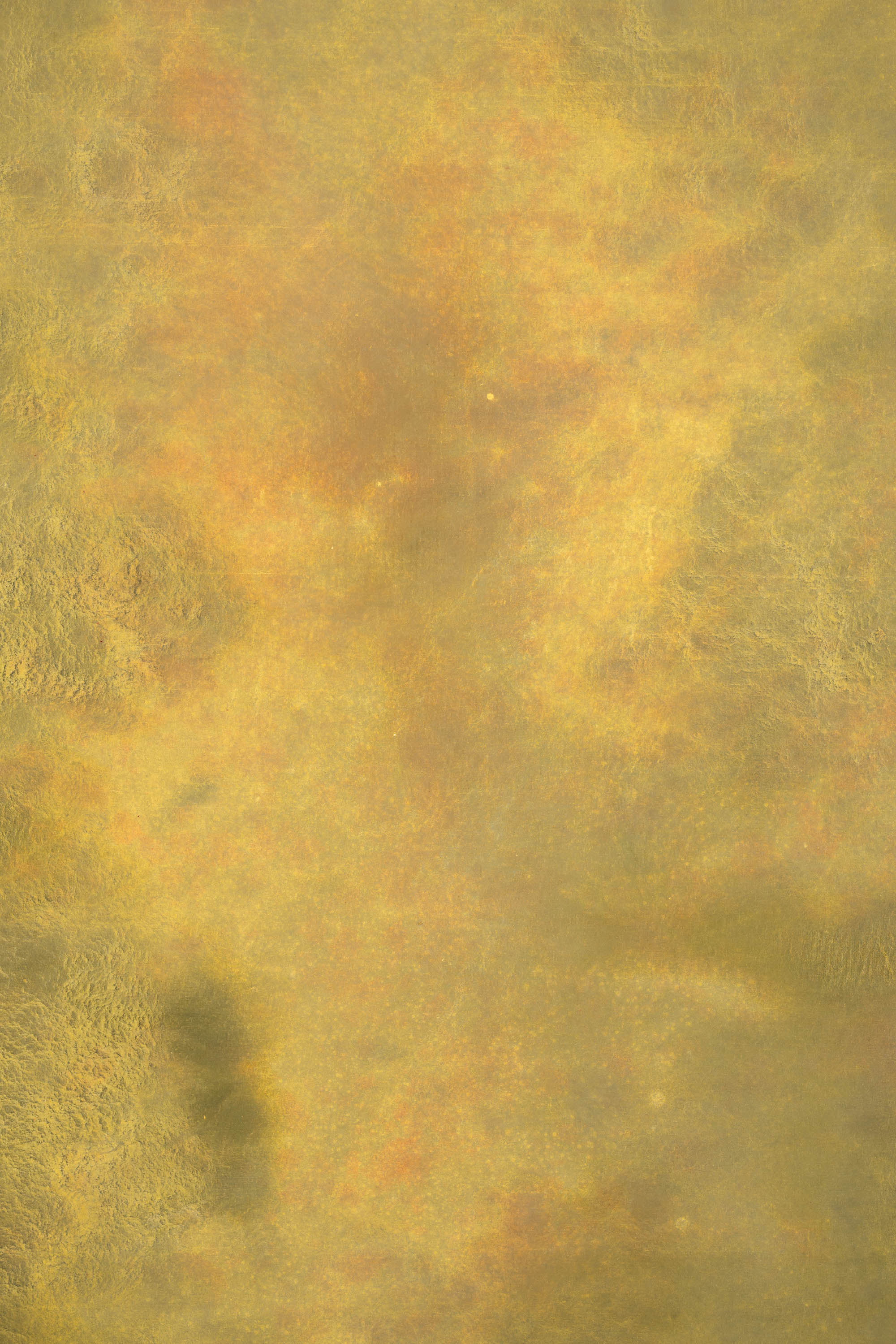 Apache Painted Canvas Backdrop (RN#01) view 3