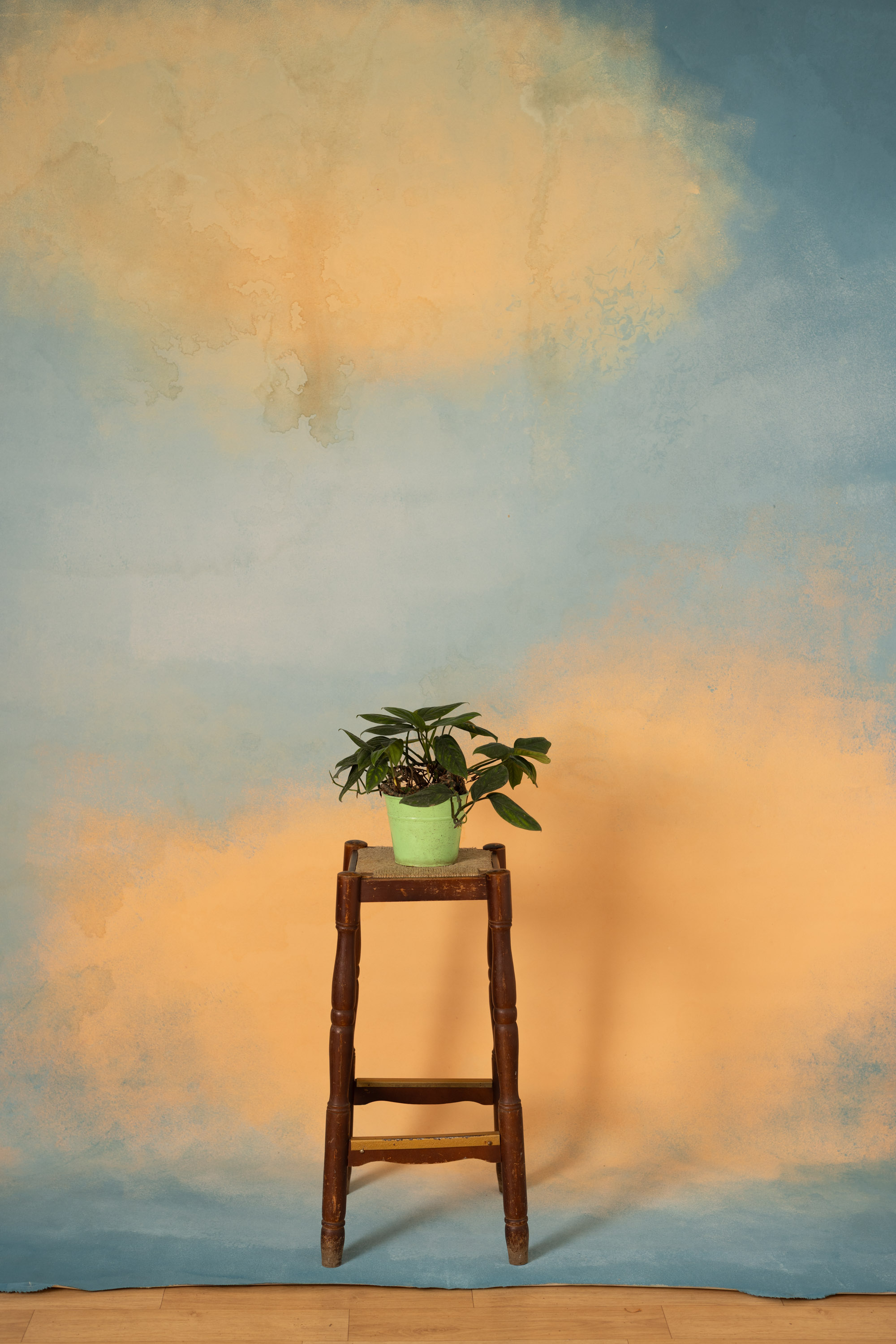 Golden Haze Painted Canvas Backdrop (RN#02)