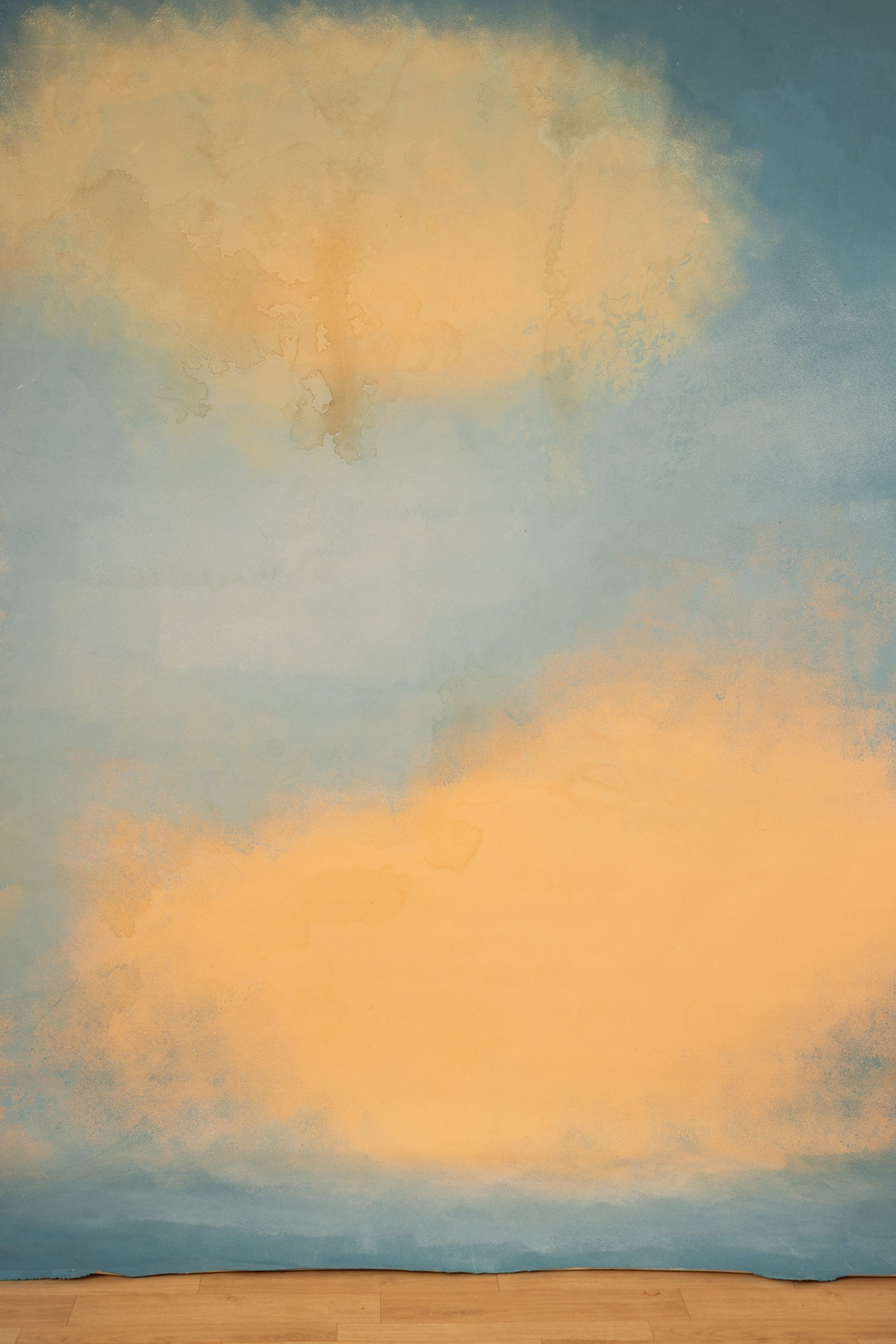 Golden Haze Painted Canvas Backdrop (RN#02) view 2