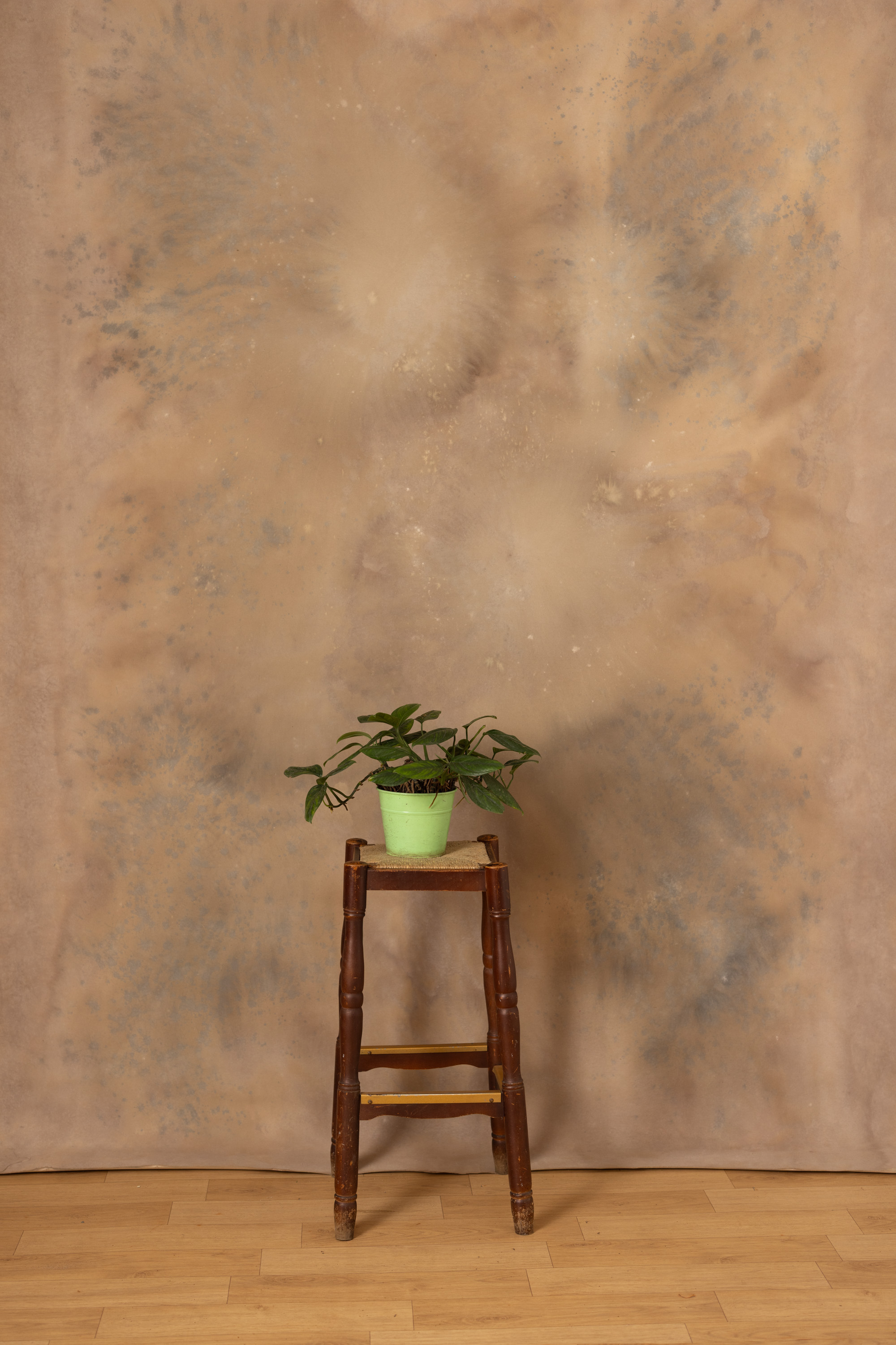 French Beige Painted Canvas Backdrop (RN#03)