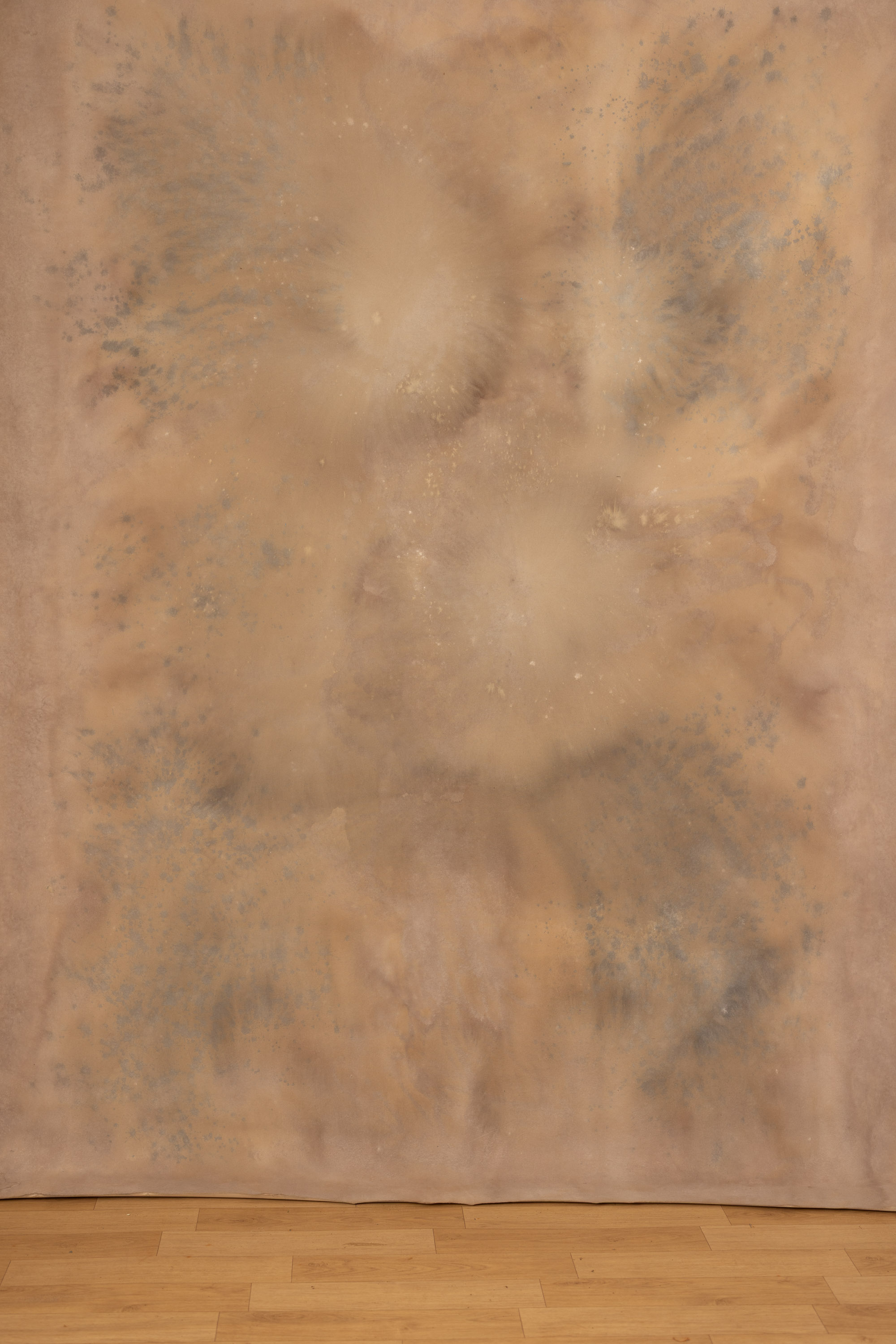 French Beige Painted Canvas Backdrop (RN#03) view 2