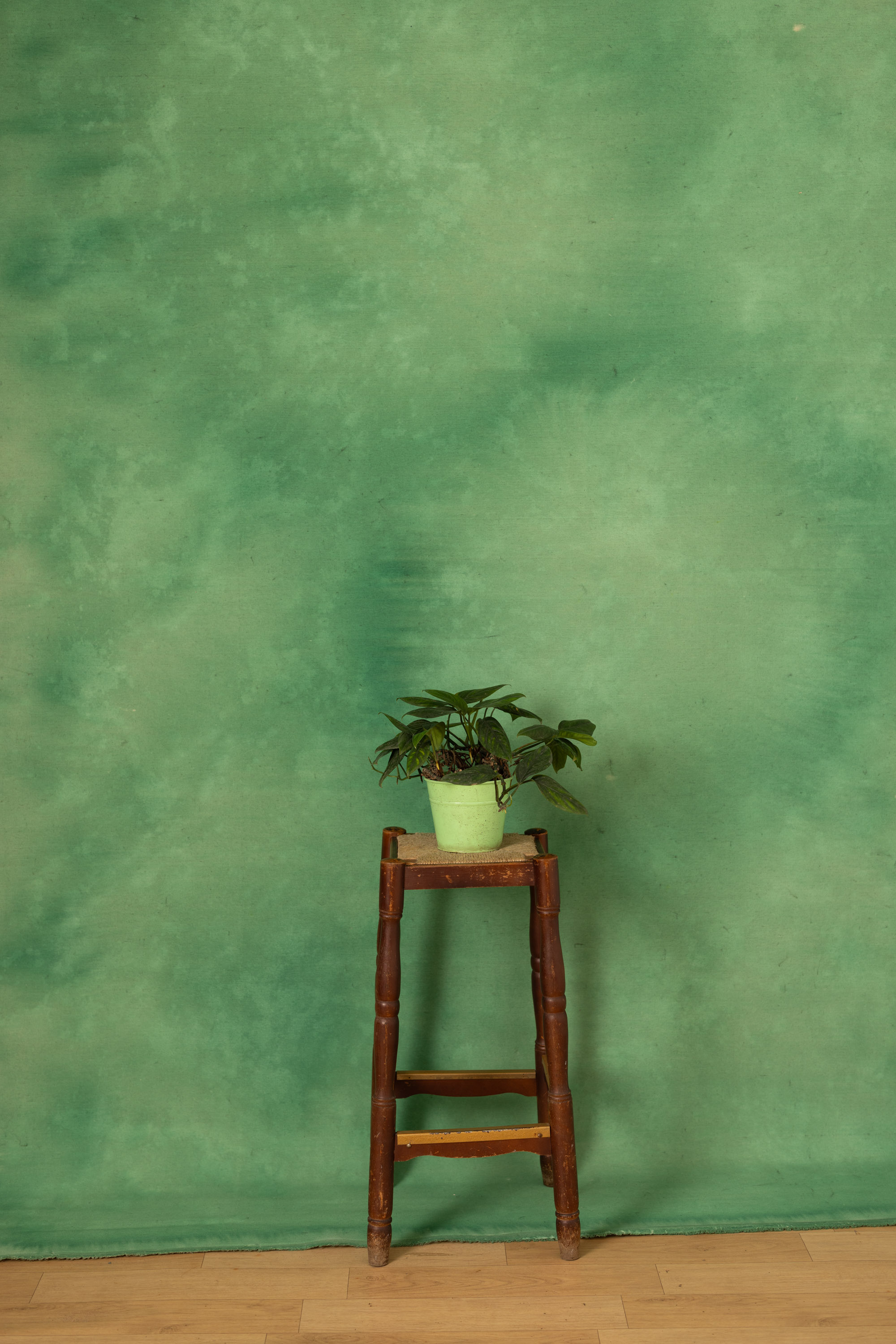 Dusty Green Painted Canvas Backdrop (RN#05)
