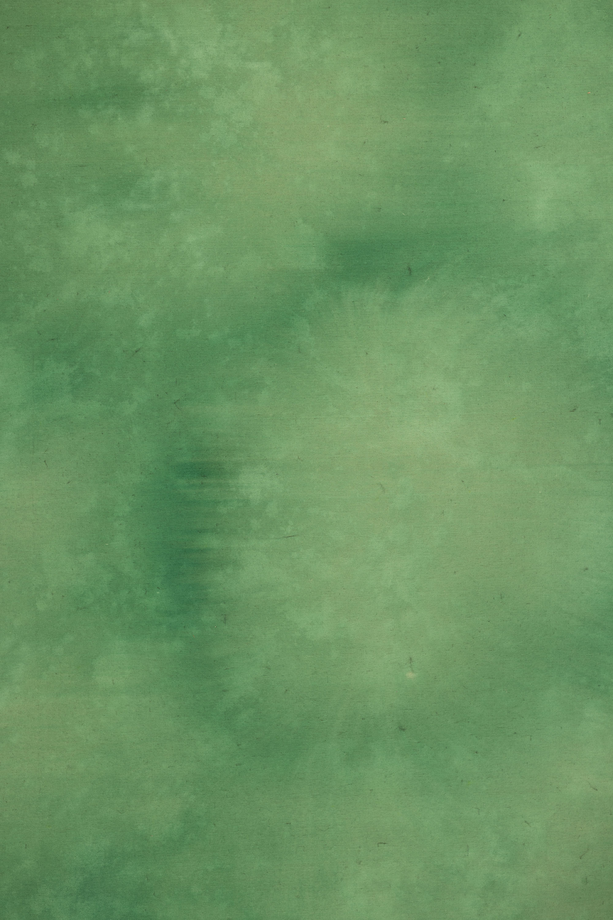Dusty Green Painted Canvas Backdrop (RN#05) view 2
